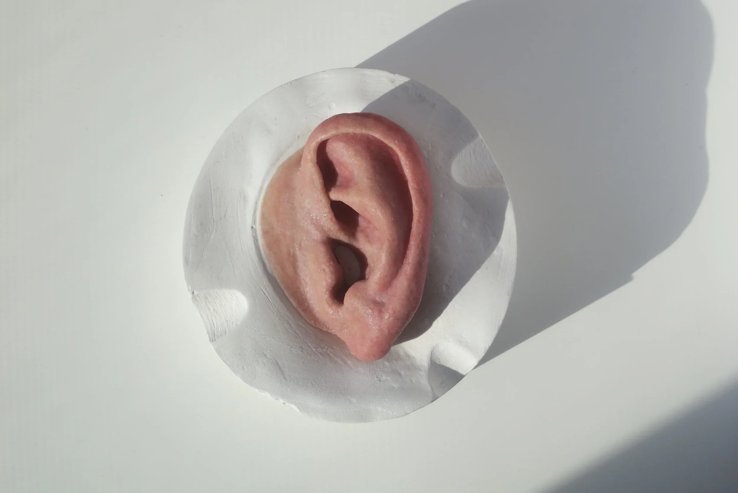 Auricular / Ears