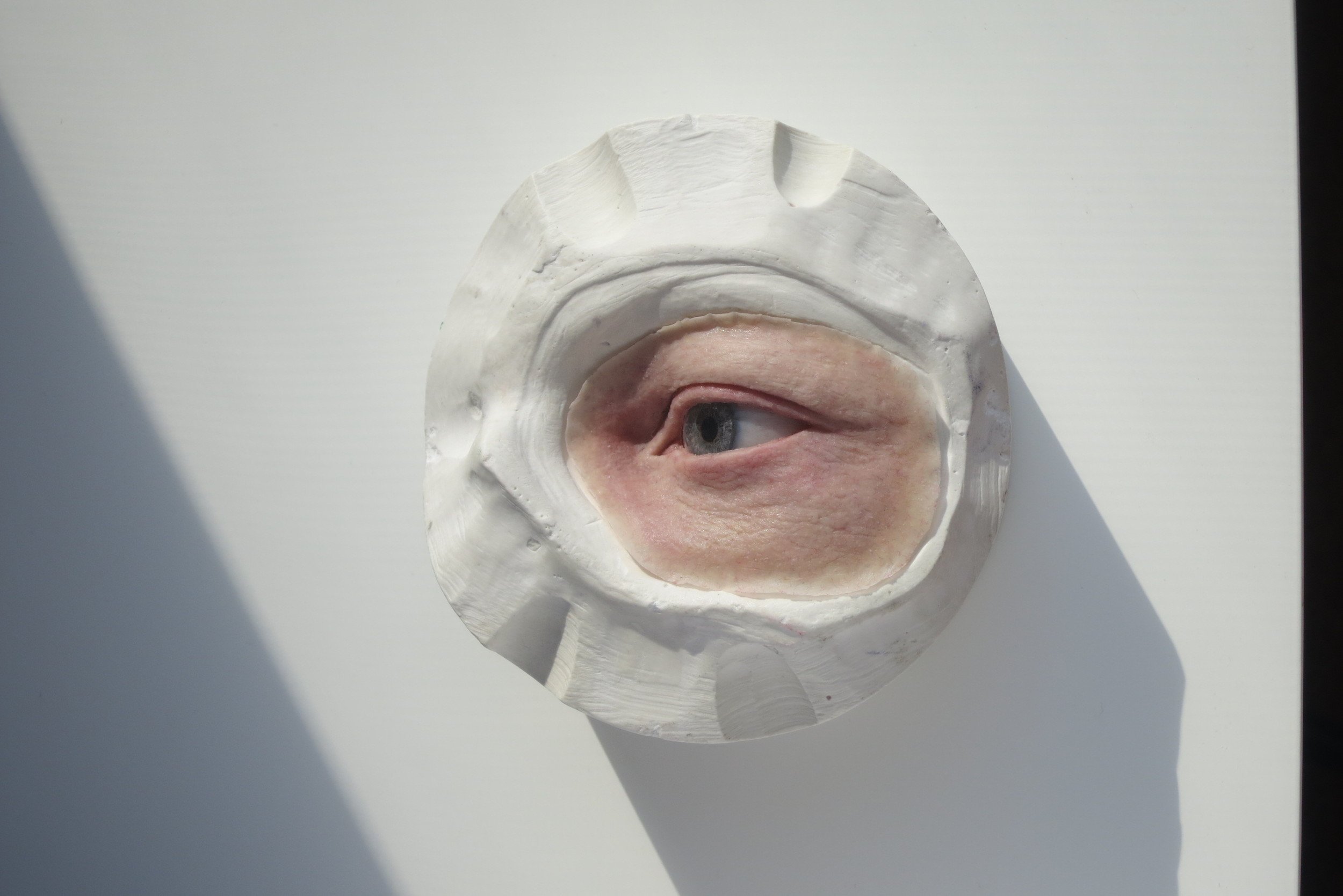 Orbital / Eyes + Eyelids