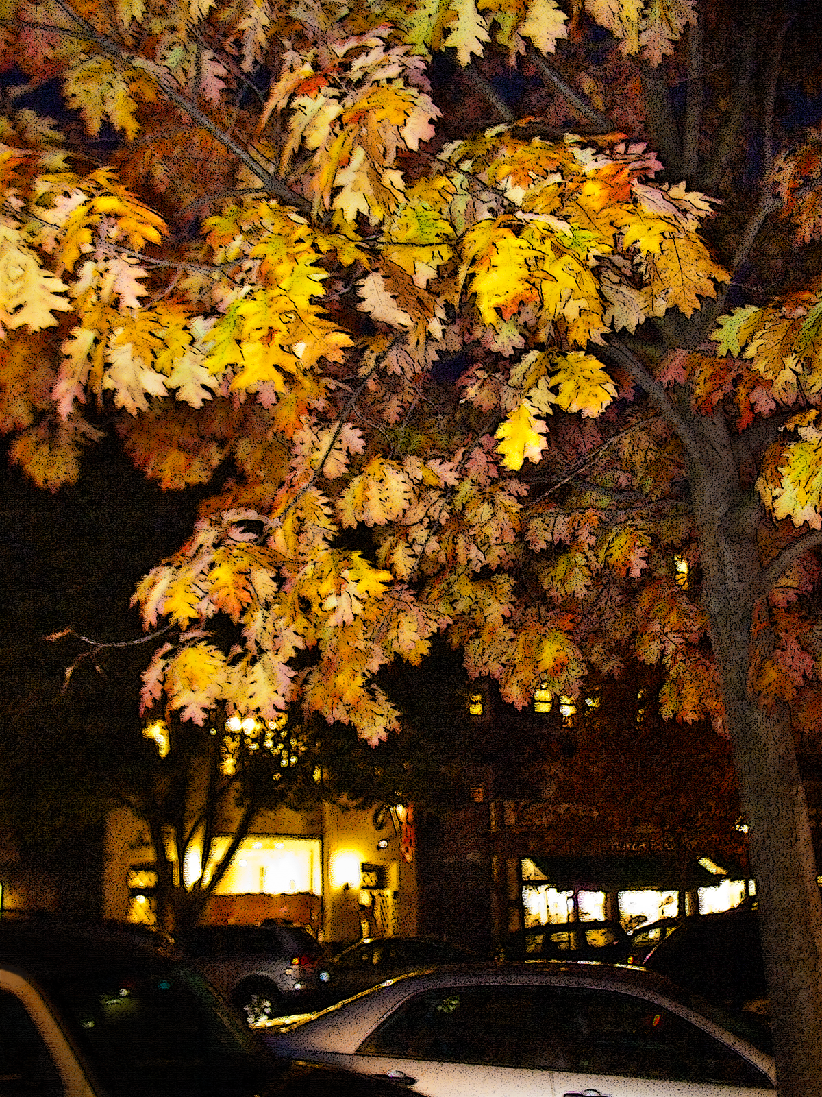 Bronxvillw gold downtown at night.png