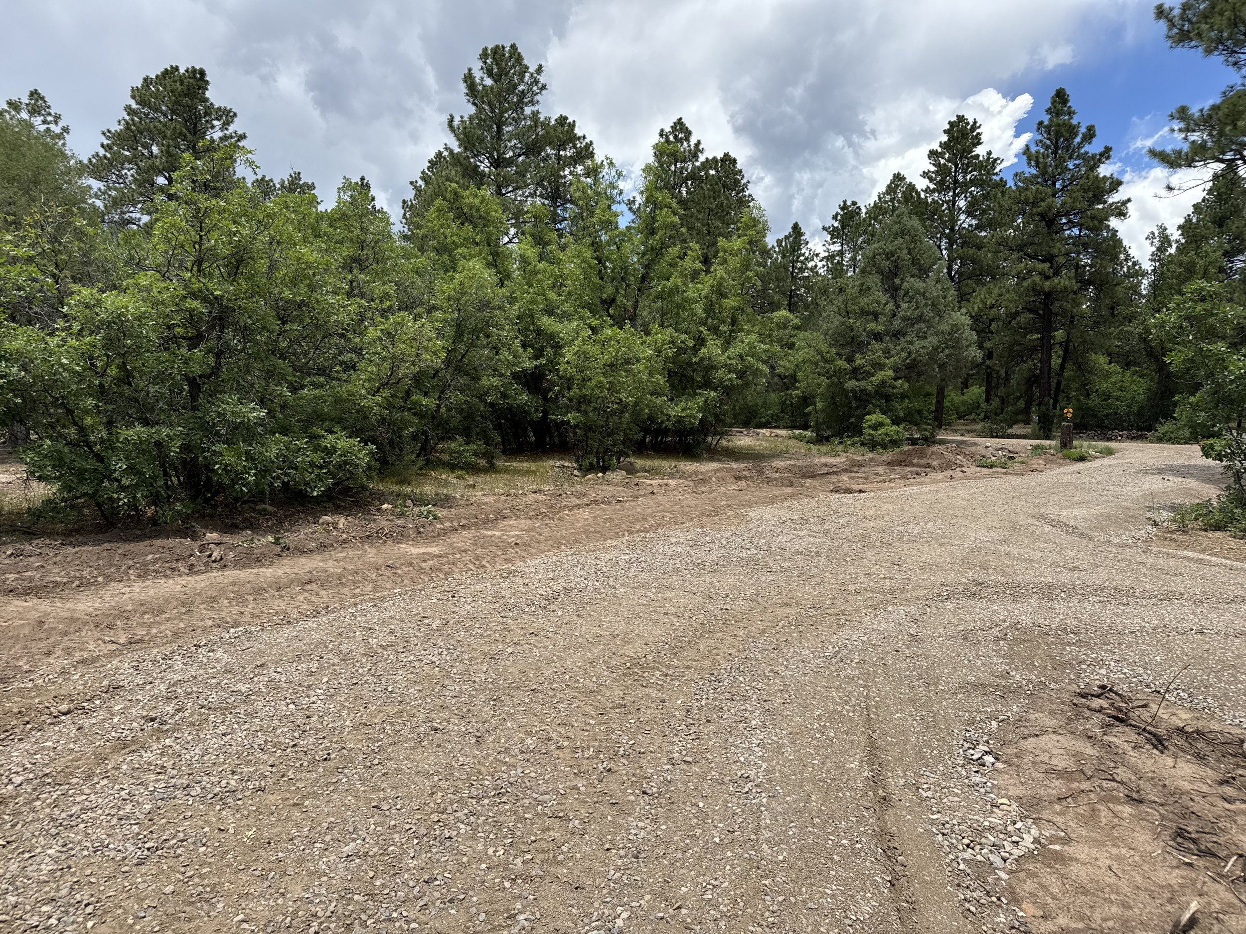 Site Prep for New Construction