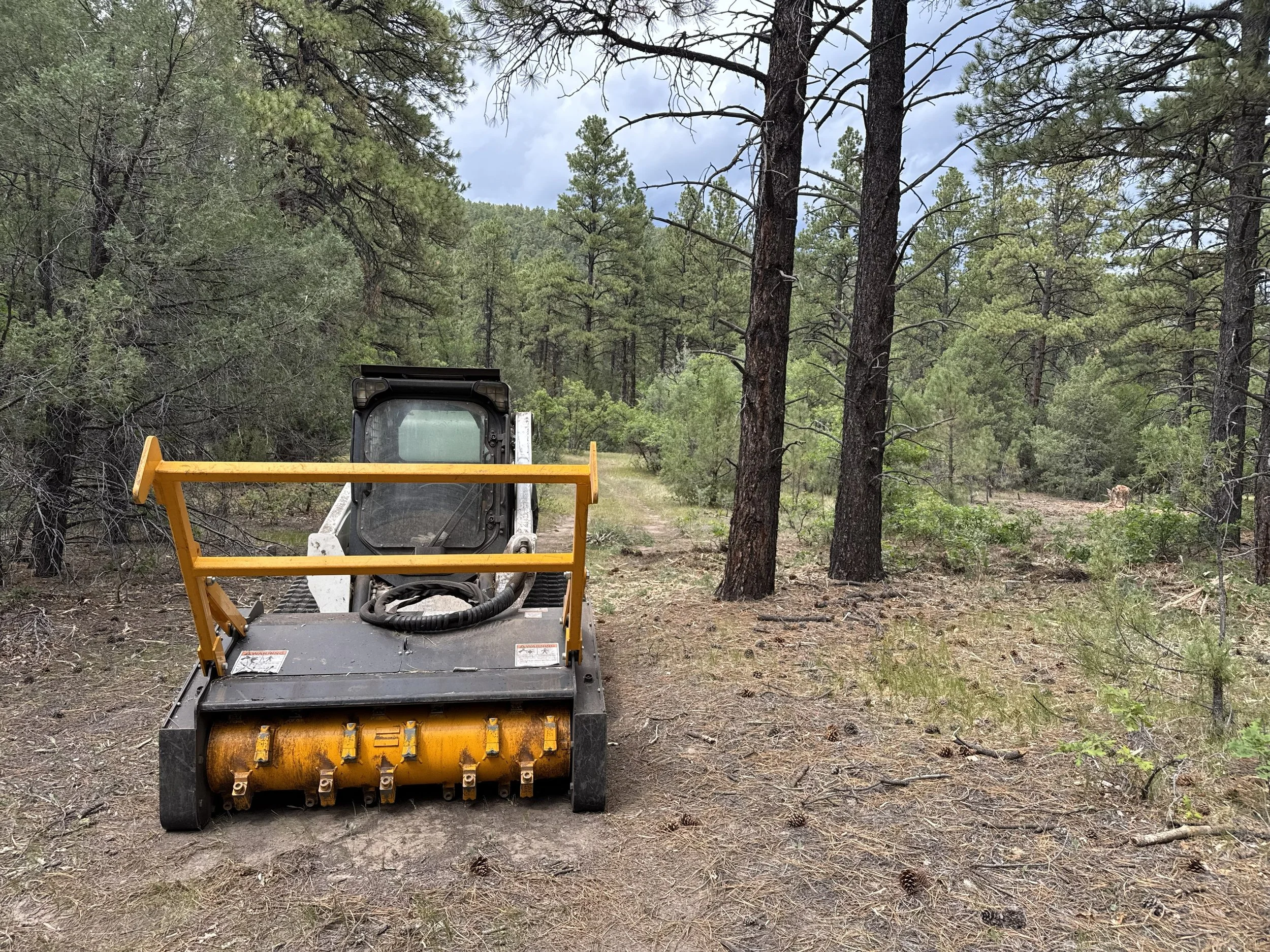 Wild Fire Mitigation