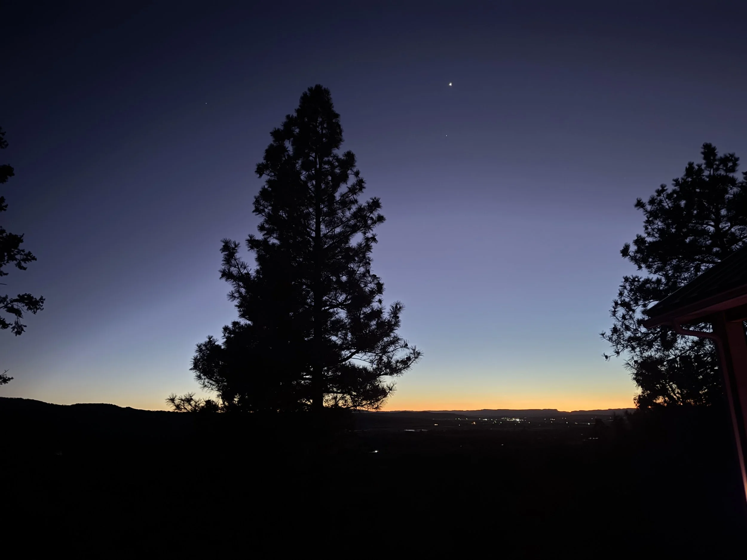 Silhouette of tall pine trees against a twilight sky with a faint orange horizon and visible planets or stars.