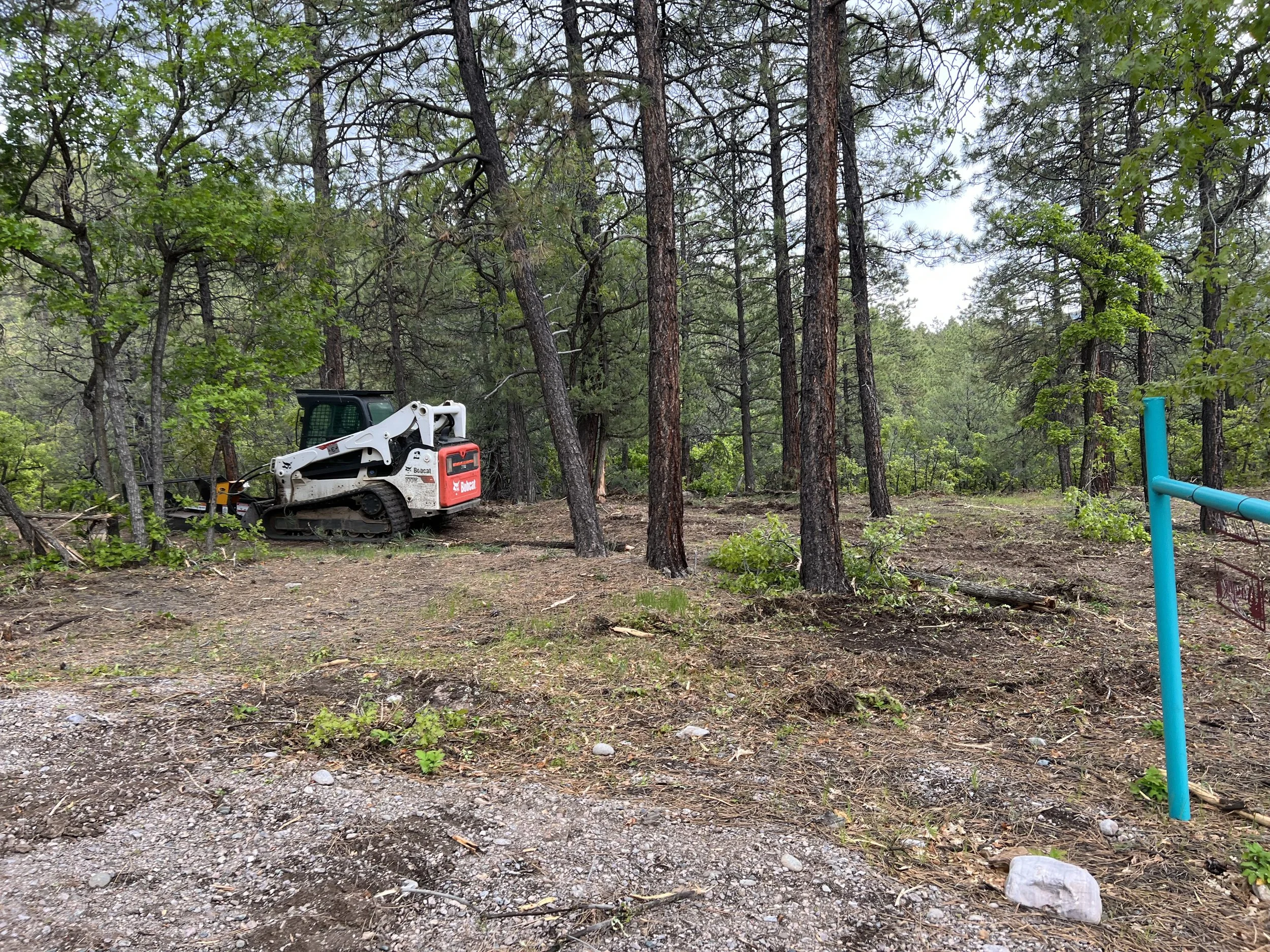A construction site in a forested area with a small white Bobcat excavator, some cleared land, green trees, and a blue pipe on the right.