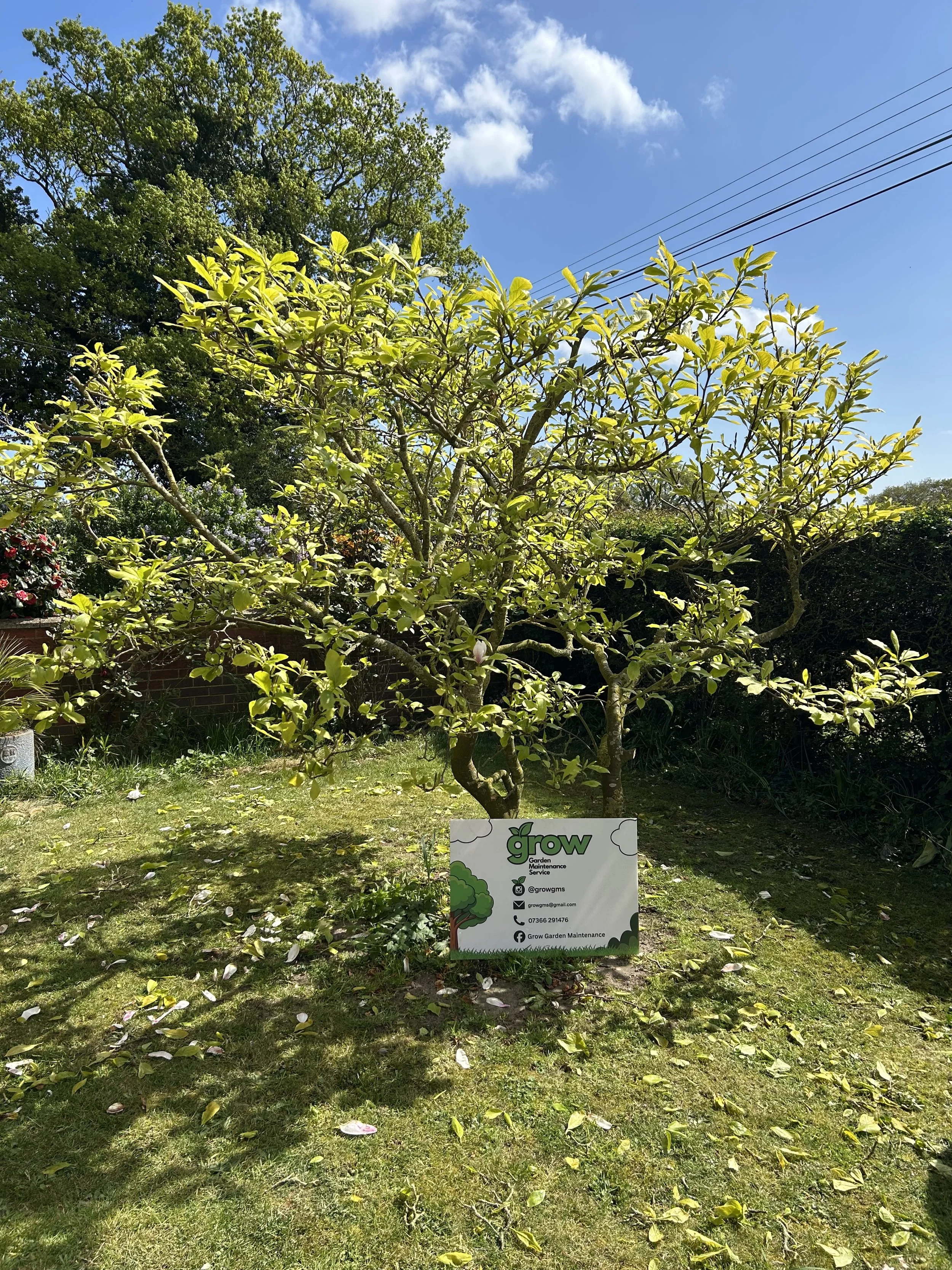 A garden with lush green trees and bushes on a sunny day, with a sign for 'Grow Garden Maintenance.' The sky is mostly clear with a few clouds, and there are power lines overhead. Fallen leaves are scattered on the grass.