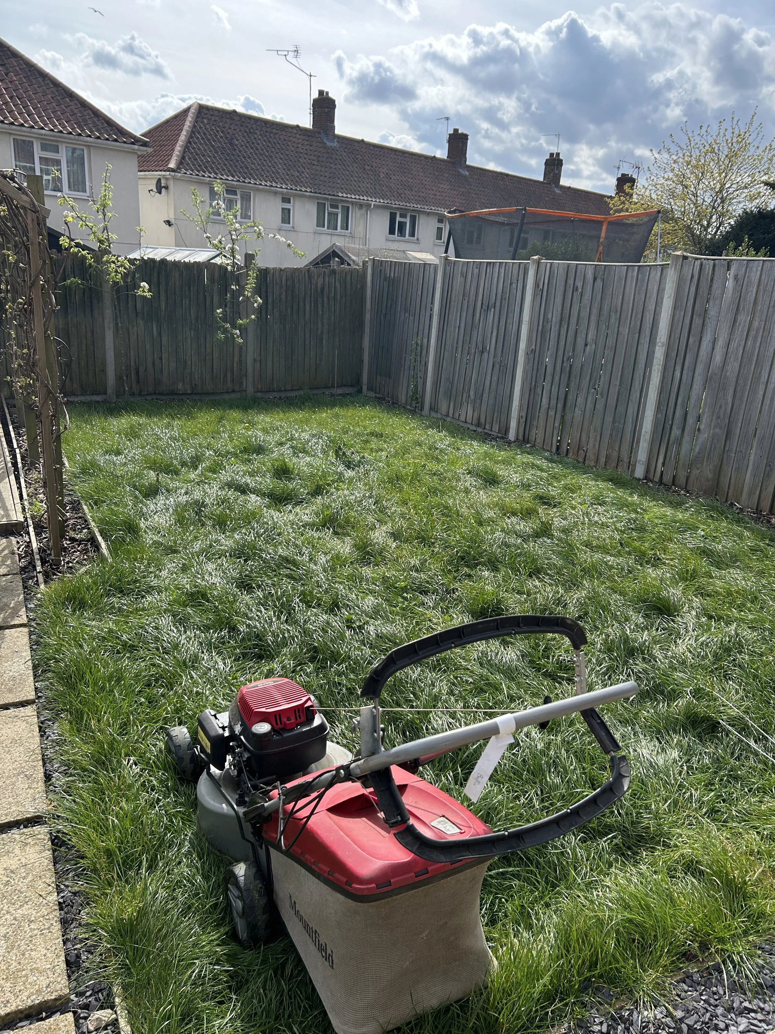 Backyard with green grass, wooden fencing, a small tree, and a red and black lawnmower. Houses with chimneys and antennas are visible in the background, under a partly cloudy sky.