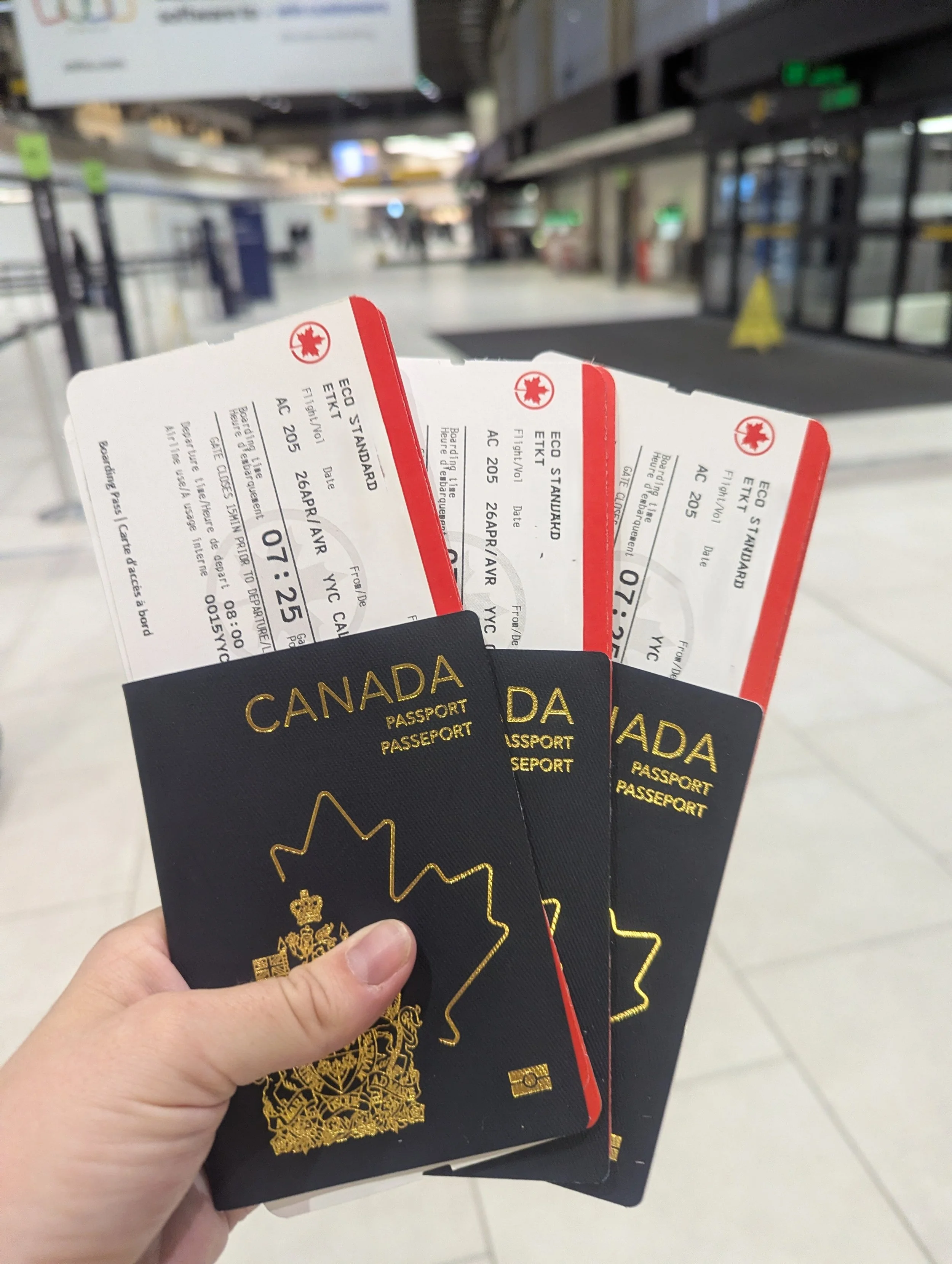 Preparing for an International Trip With a Baby