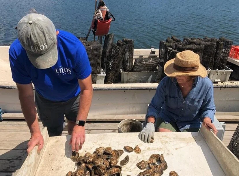 Two people sorting oysters on a dock near the water, with boxes and equipment for oyster handling around them.