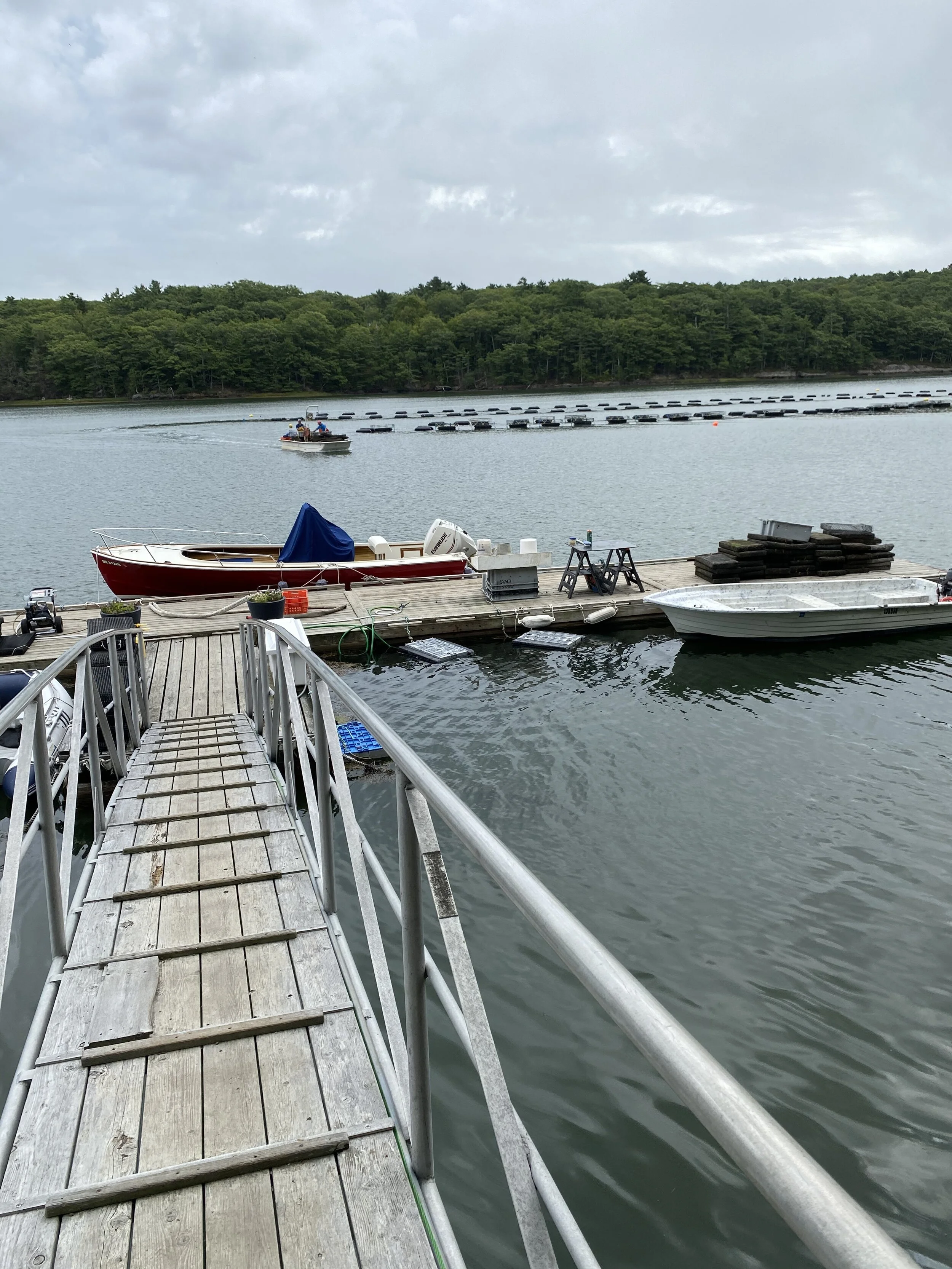 A dock with boats and equipment on a lake, with water and green trees in the background, and a cloudy sky overhead.