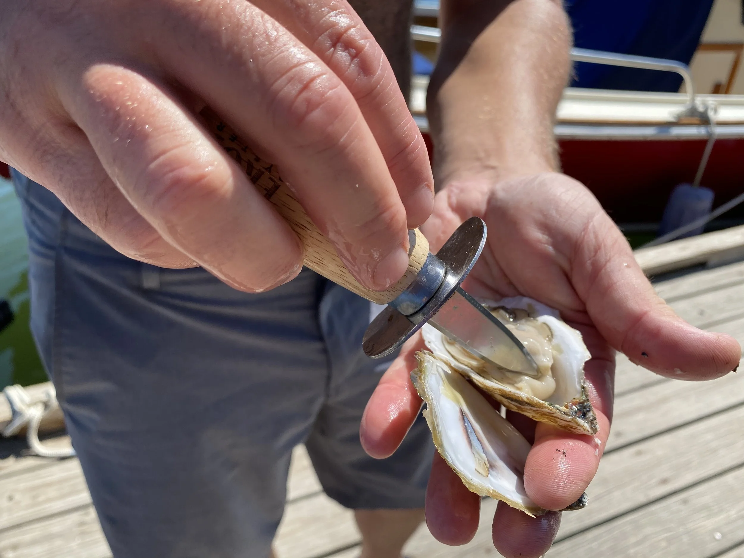 Person opening an oyster with a shucking knife on a wooden surface outdoors.