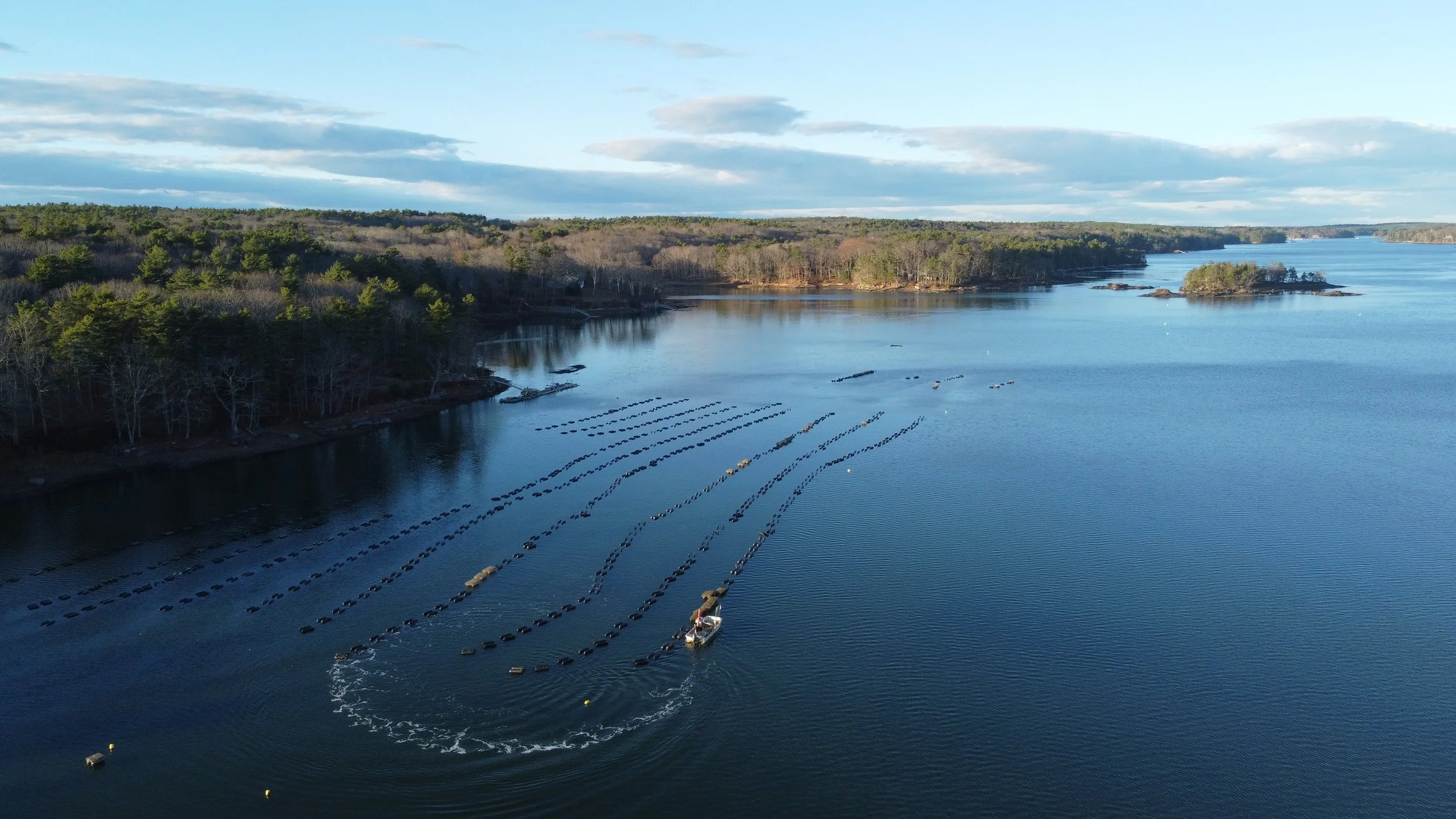 Aerial view of a large body of water with lined-up buoys and small boats, surrounded by forested shoreline with trees and hills under a partly cloudy sky.