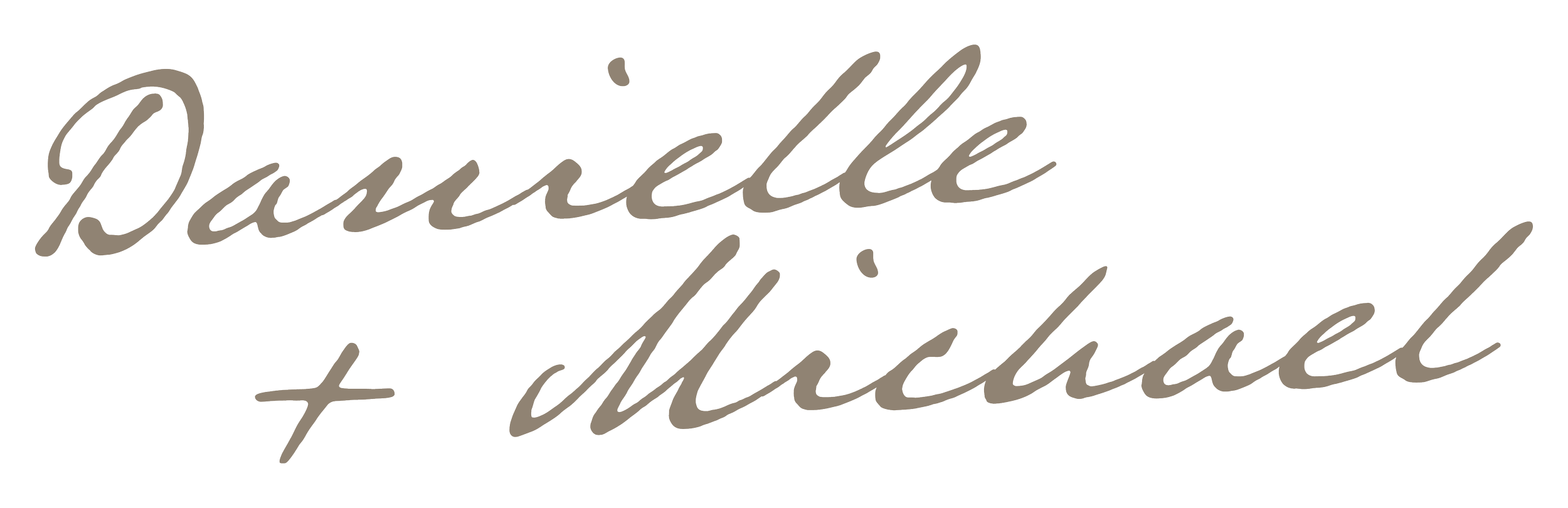 Stylized text reading 'Danielle and Michael' in a cursive font.