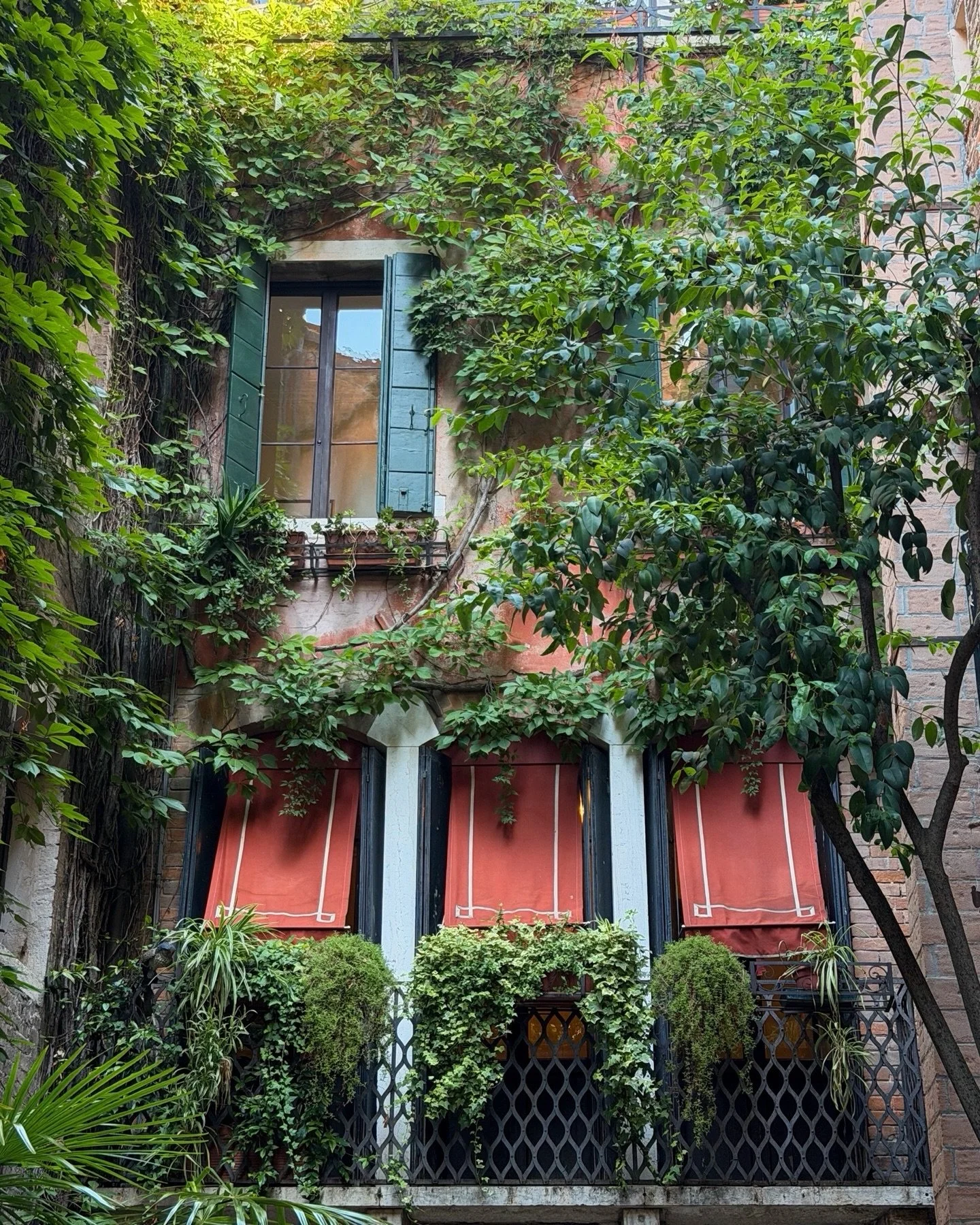 Slow mornings and quiet evenings in the secret garden @hotelfloravenezia 🤍🌿