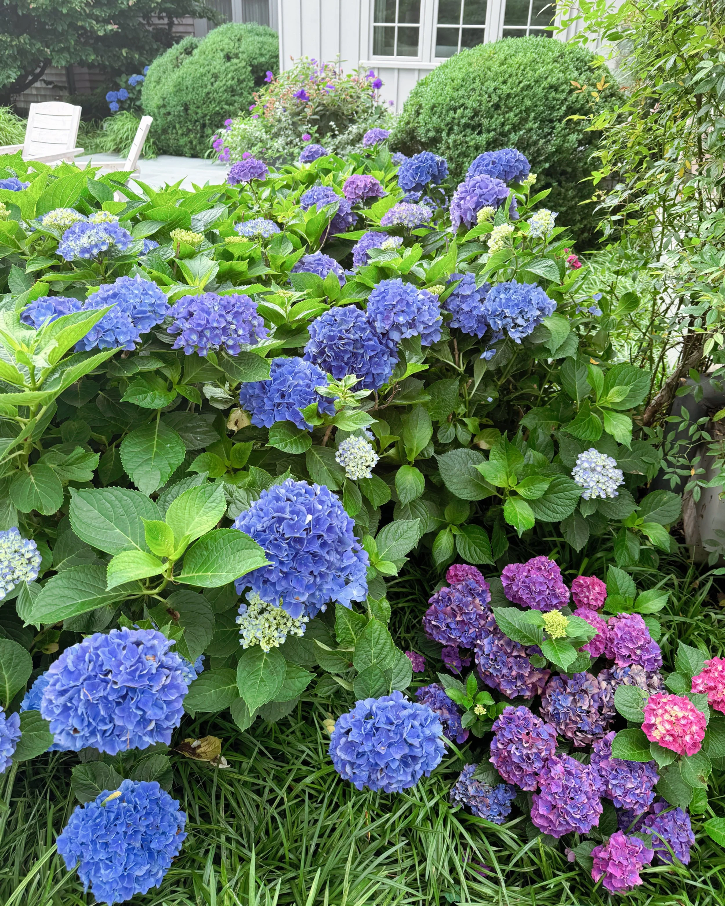 624706B6-8F0F-4F86-8B68-01035C4D24B9.jpeg