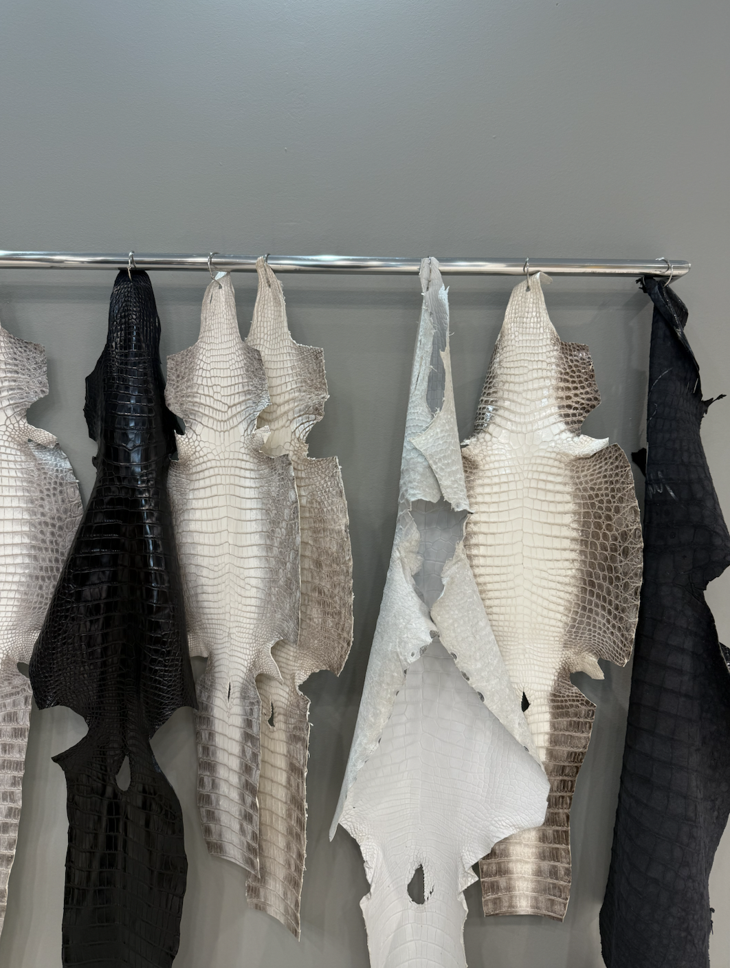 Multiple pieces of faux or real crocodile or alligator leather in black, white, and varying shades hanging on a metal rod against a gray wall.