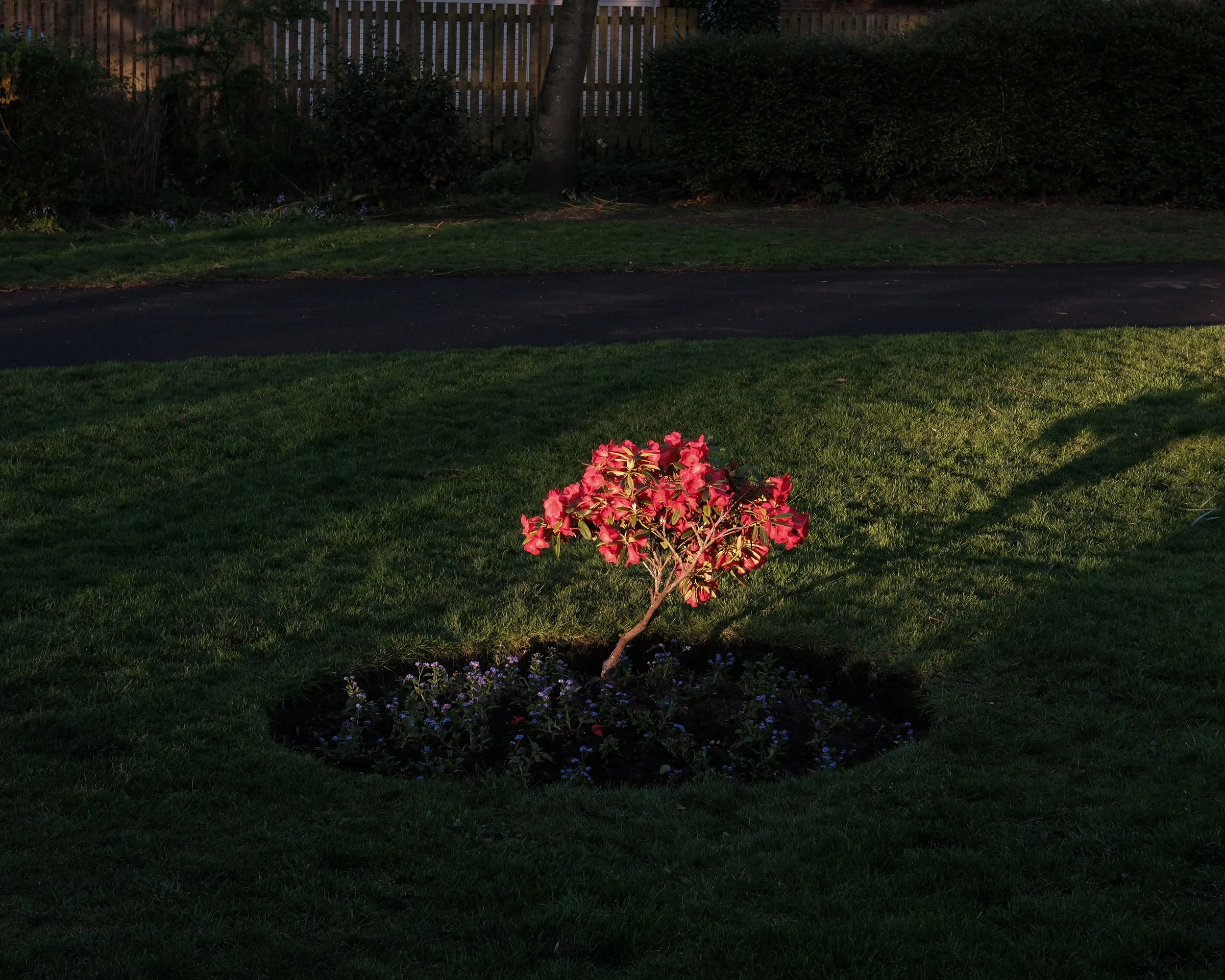 DSCF1372.jpg