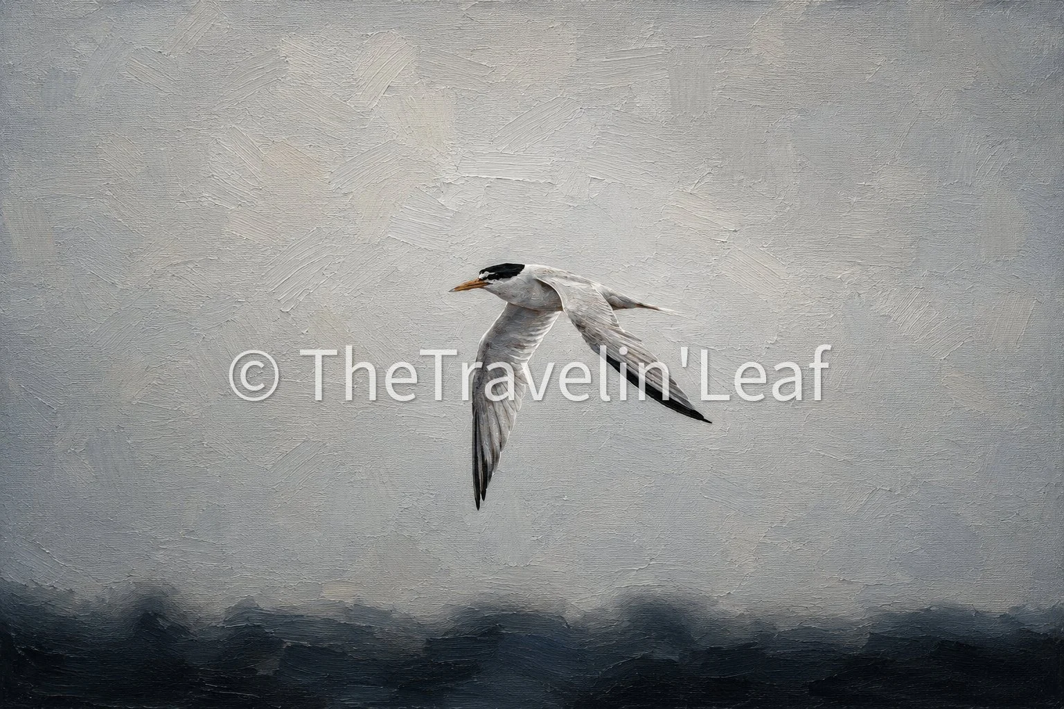 Misty Tern