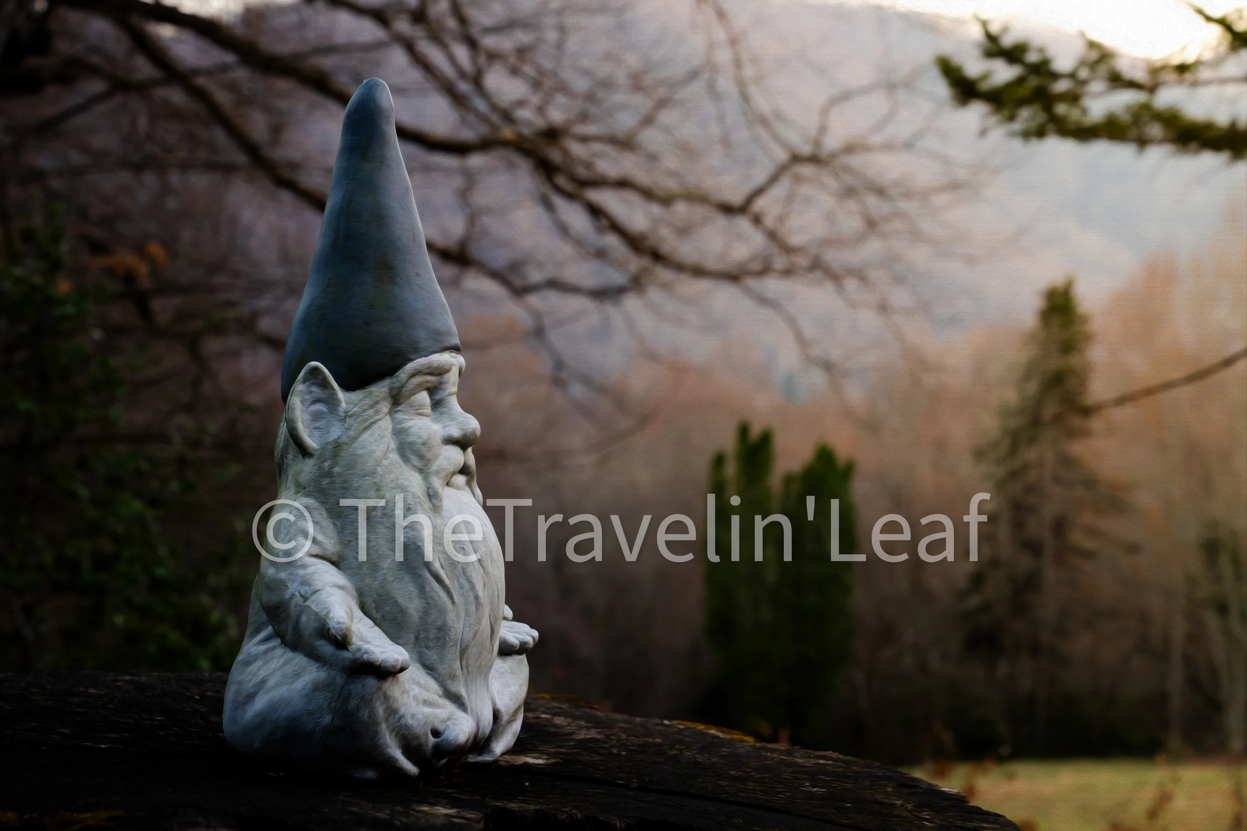 Mountain Zen