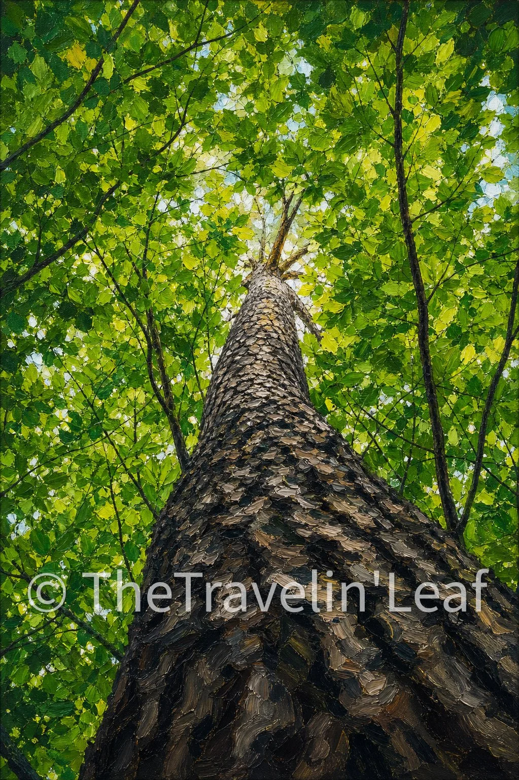 Forest Pillar