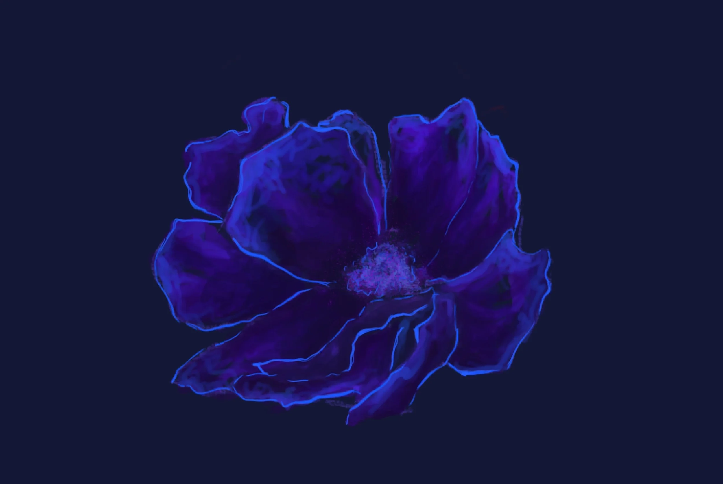 Illustration   'LILAC'