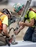 Job Market Shows Stability