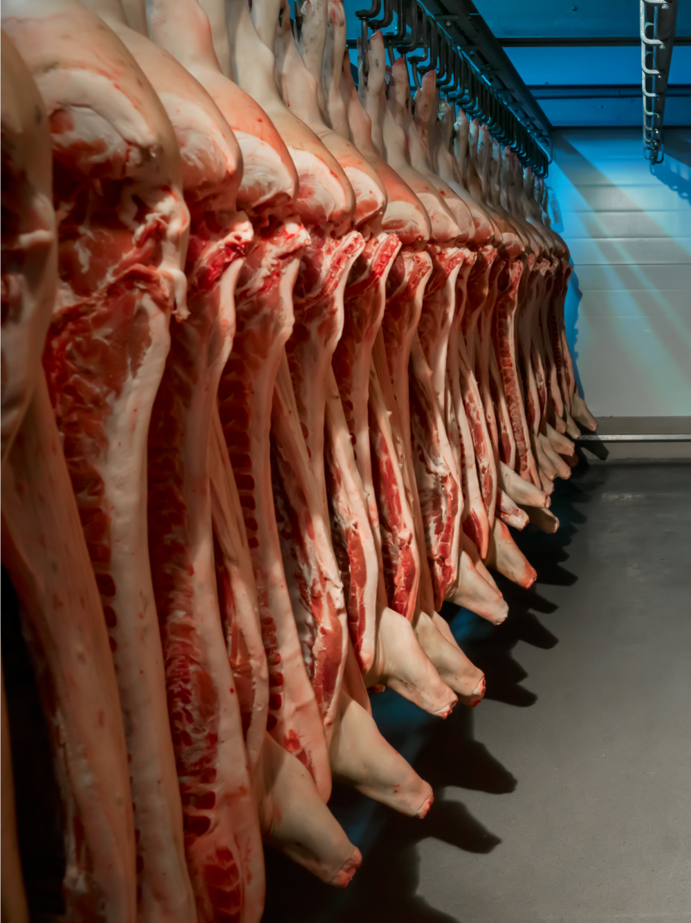 March Pork, Beef Export Reach New Heights