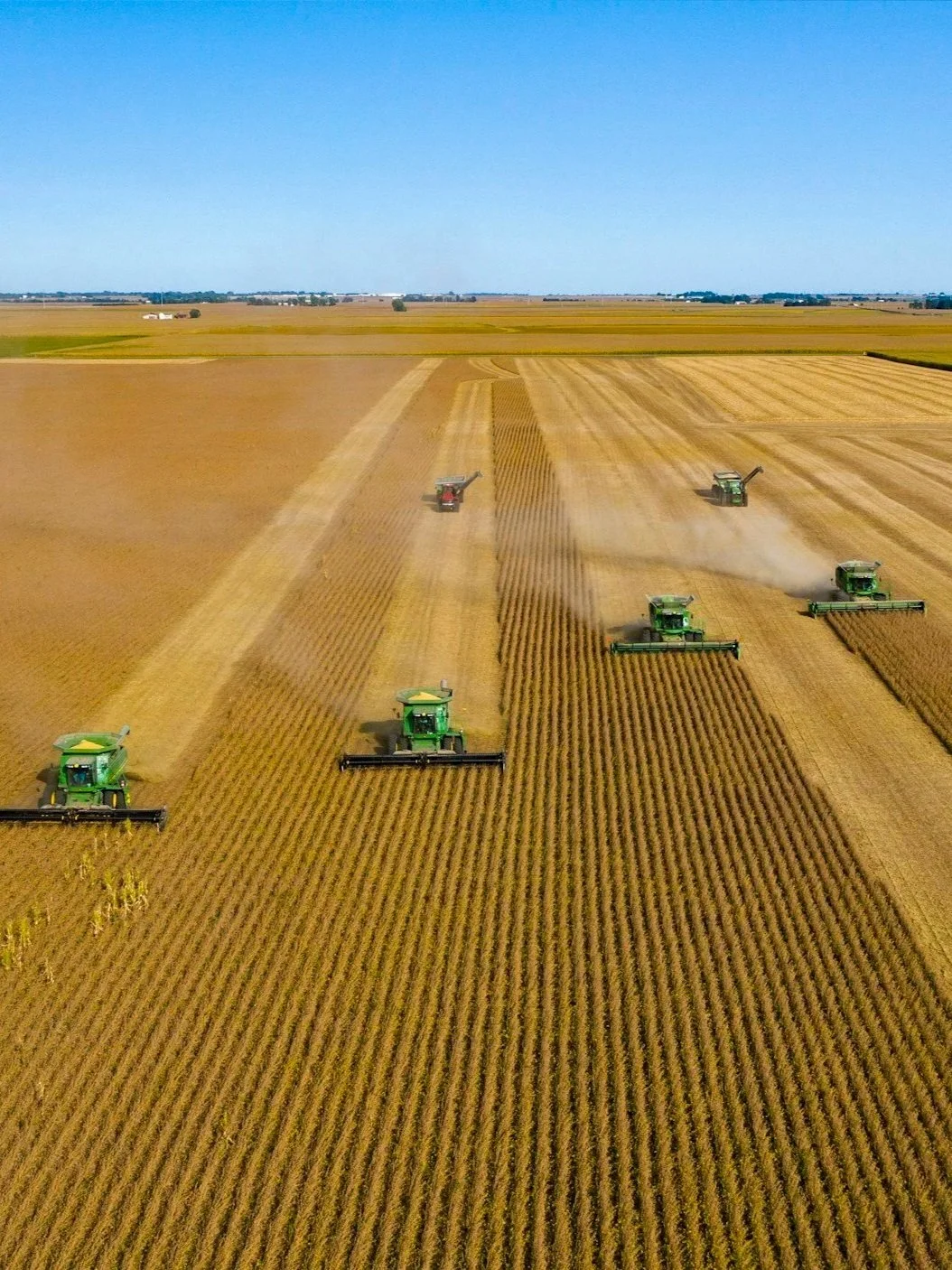 Soybean Growers Hoping China Keeps Its Word