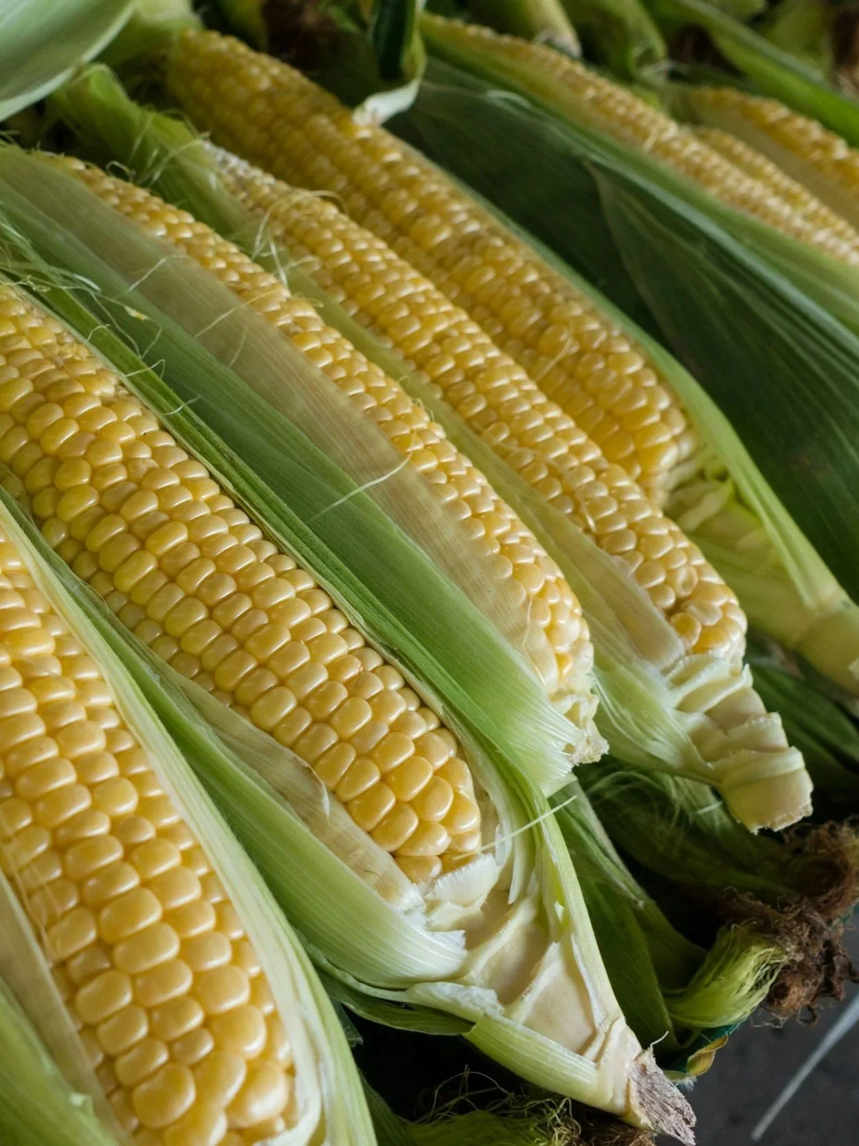 China Promises “Billions” of Farm Purchases</span>