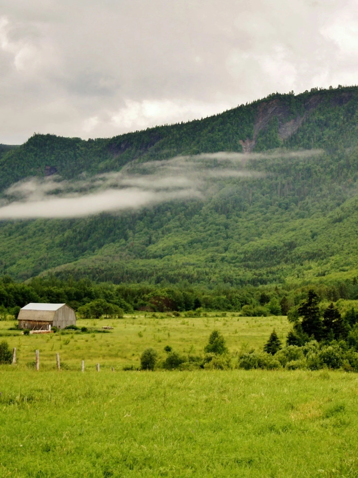 Pasture Conditions Vary Widely Across U.S.</span>