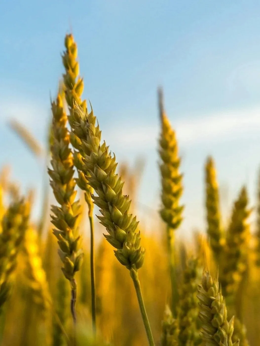 Will Expanding Drought Spark a Market Rally?</span>