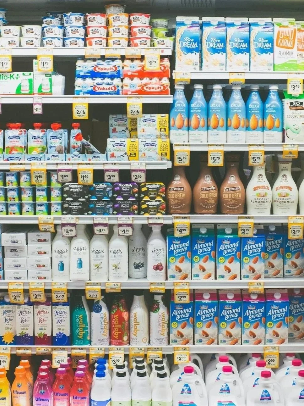 Dairy Invests, Innovates