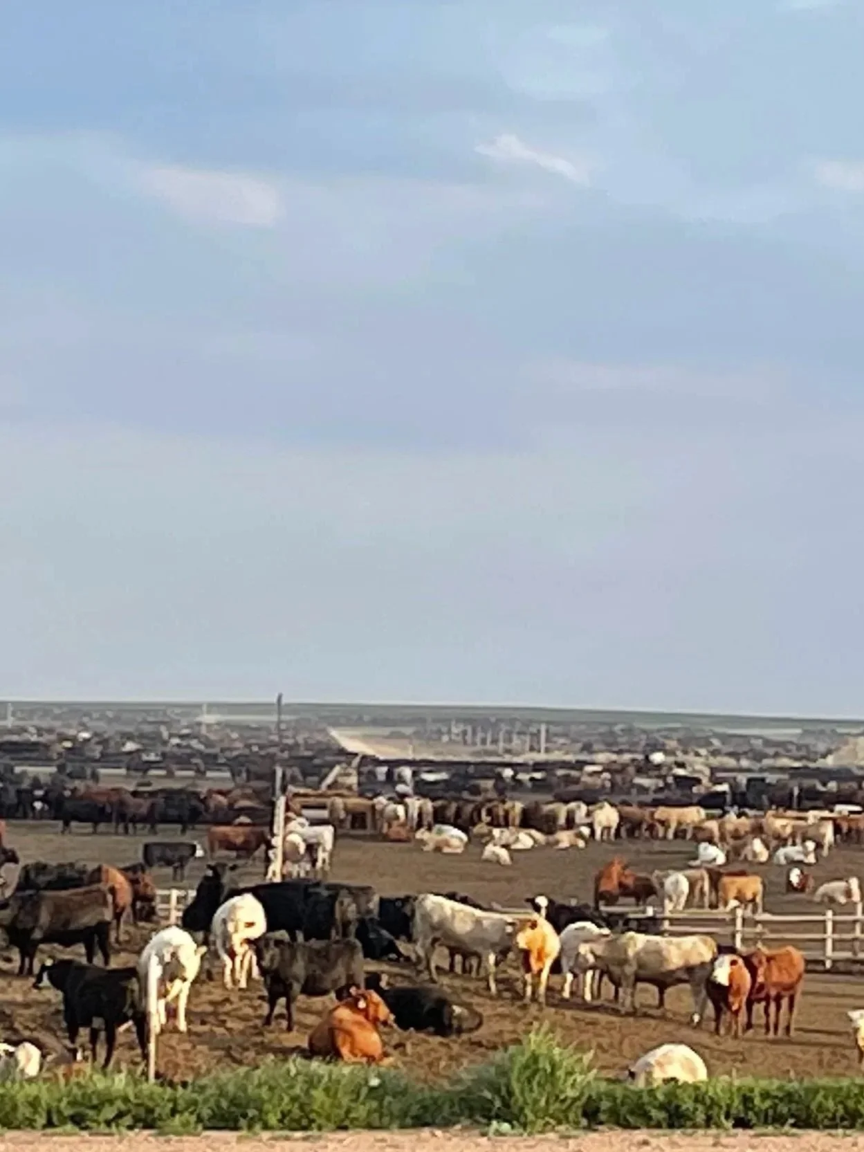 No Help Needed With "Beef Inflation”</span>