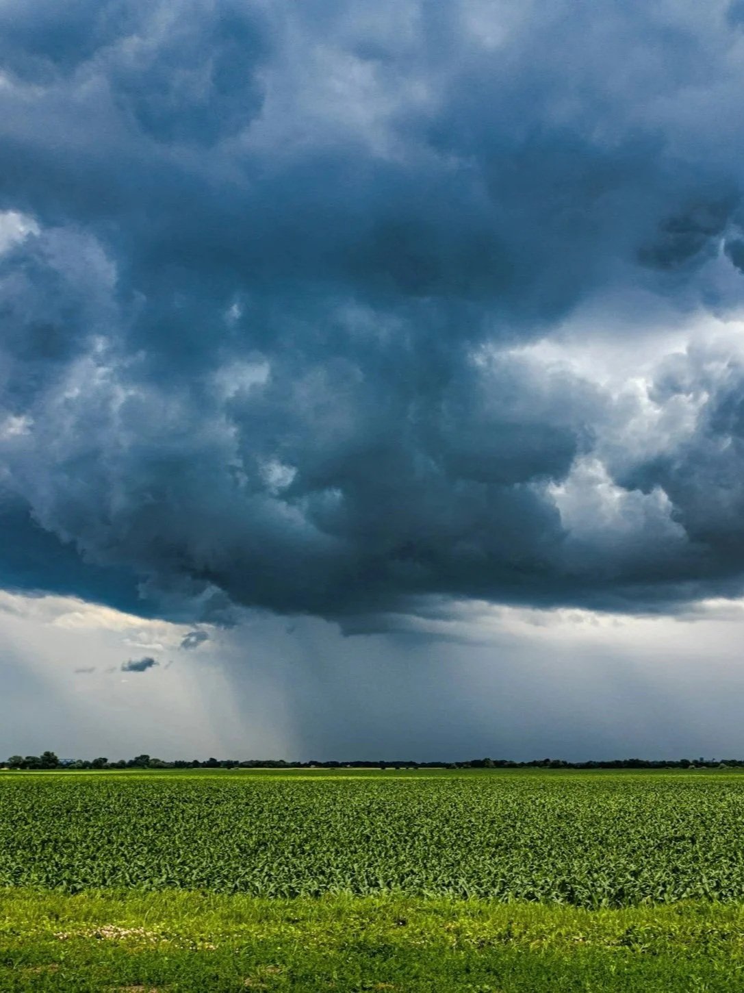 Look For Moisture This Summer</span>