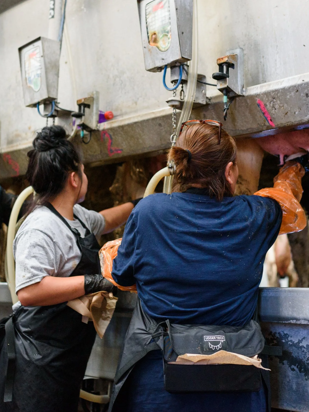 TN Visas Are Changing Farm Employment</span>