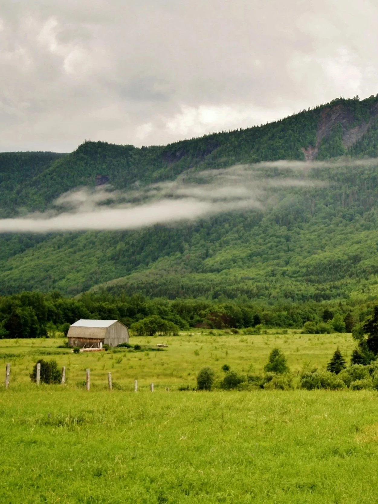 Much Needed Rain Saving  Ranch Pastures</span>