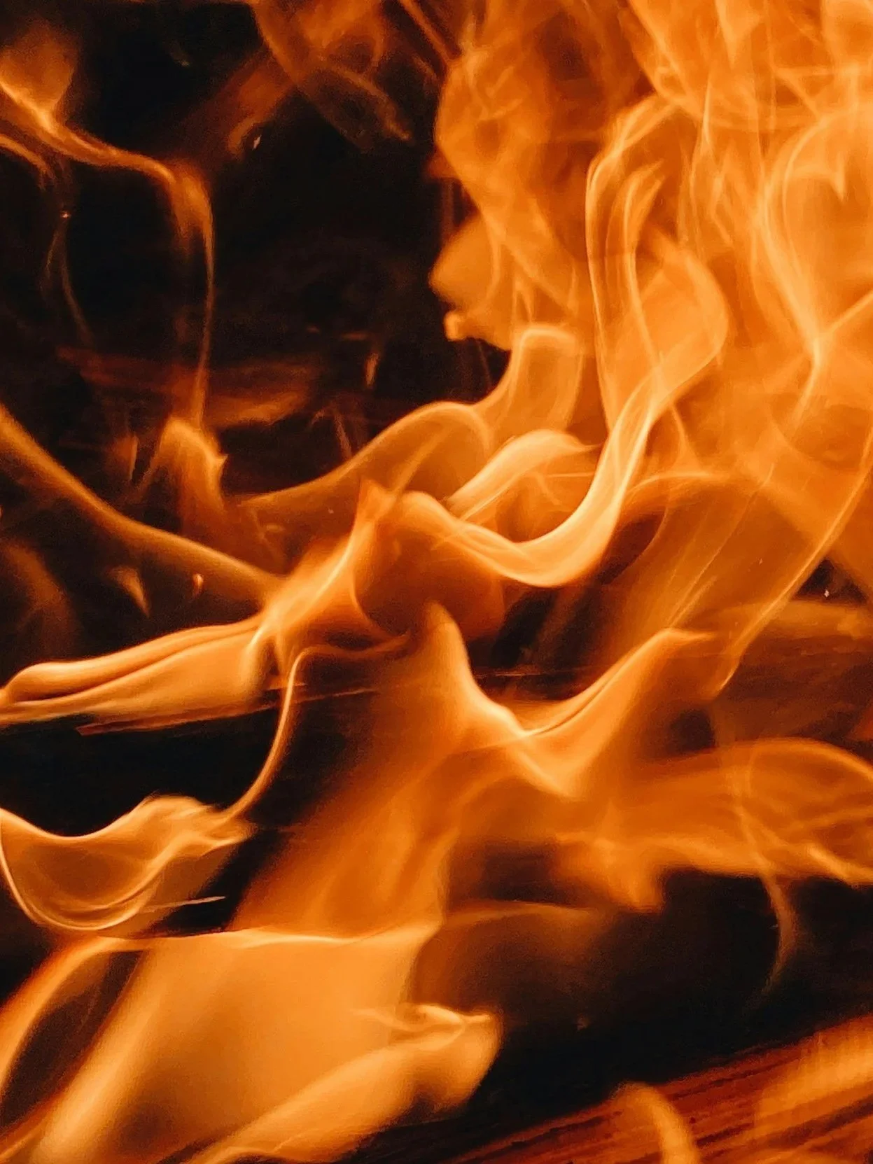 Cattle Complex Continues To Be Red Hot</span>
