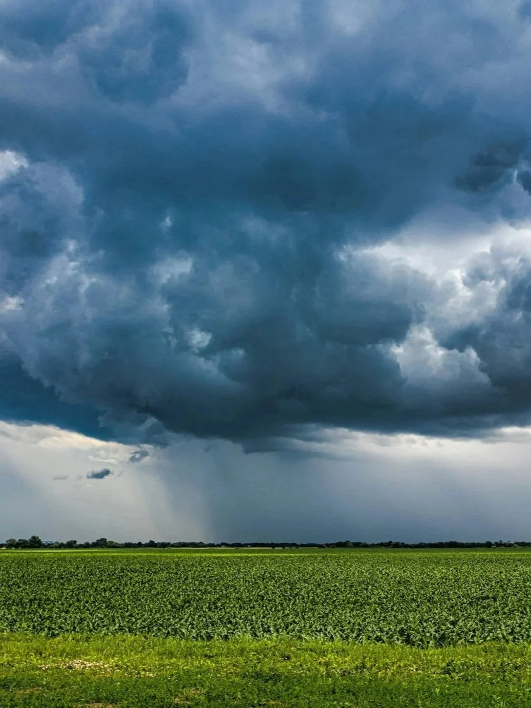 Leverage Weather-Driven Crop Markets</span>
