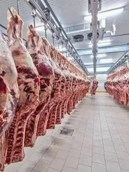 Are USDA Export Numbers  Accurate? </span>