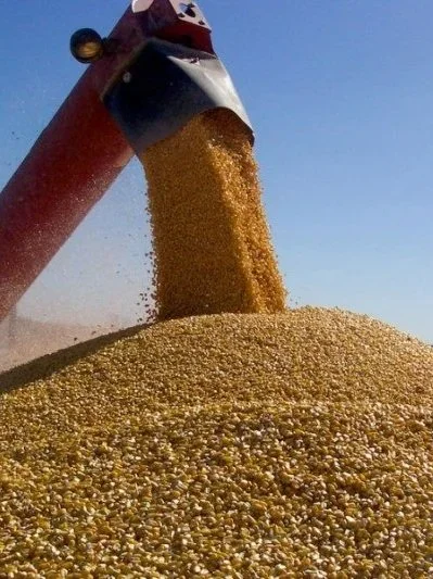 Watch These Grain Price Flash Points</span>