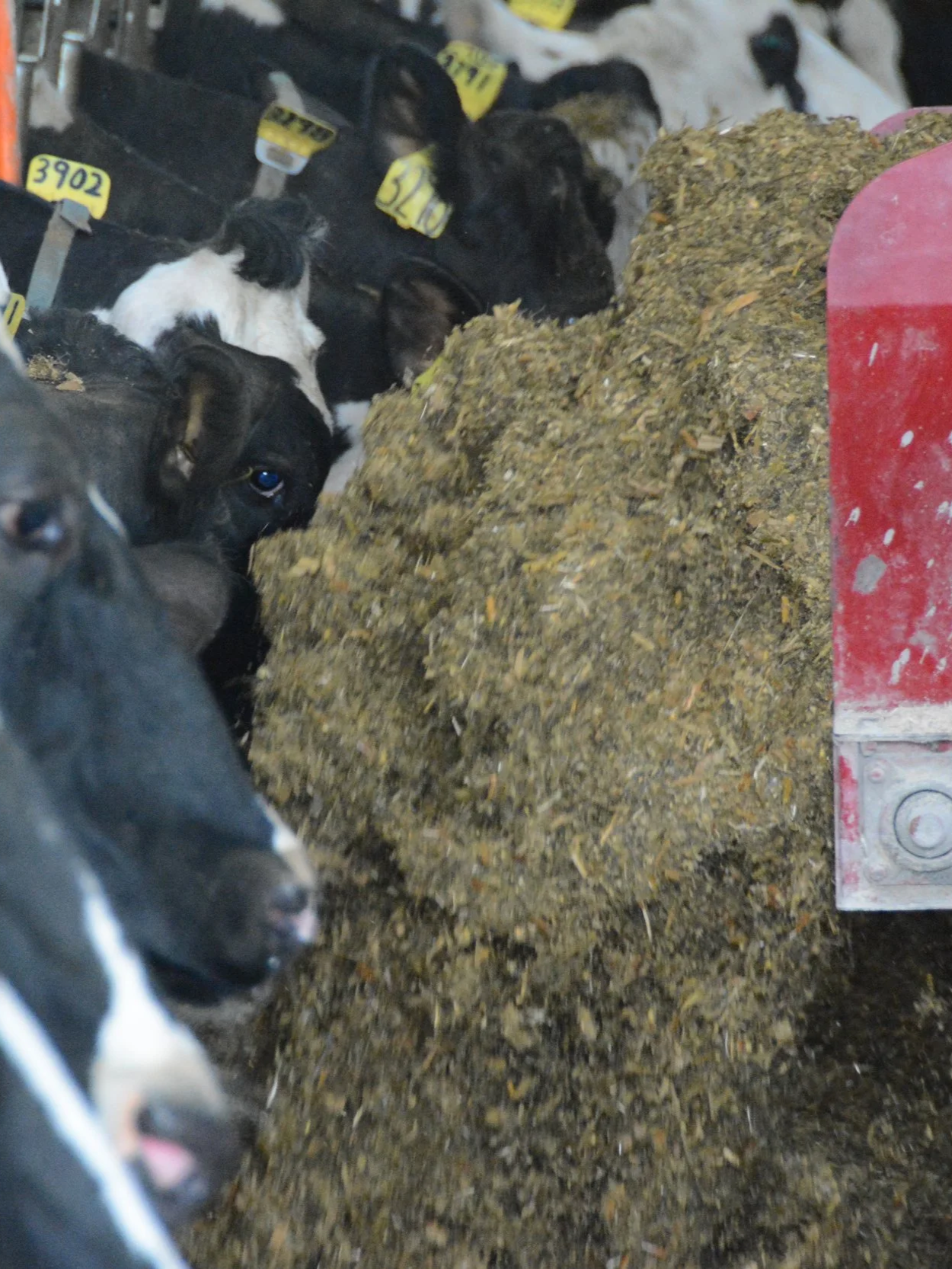 It’s Time To Lock In Feed Costs</span>