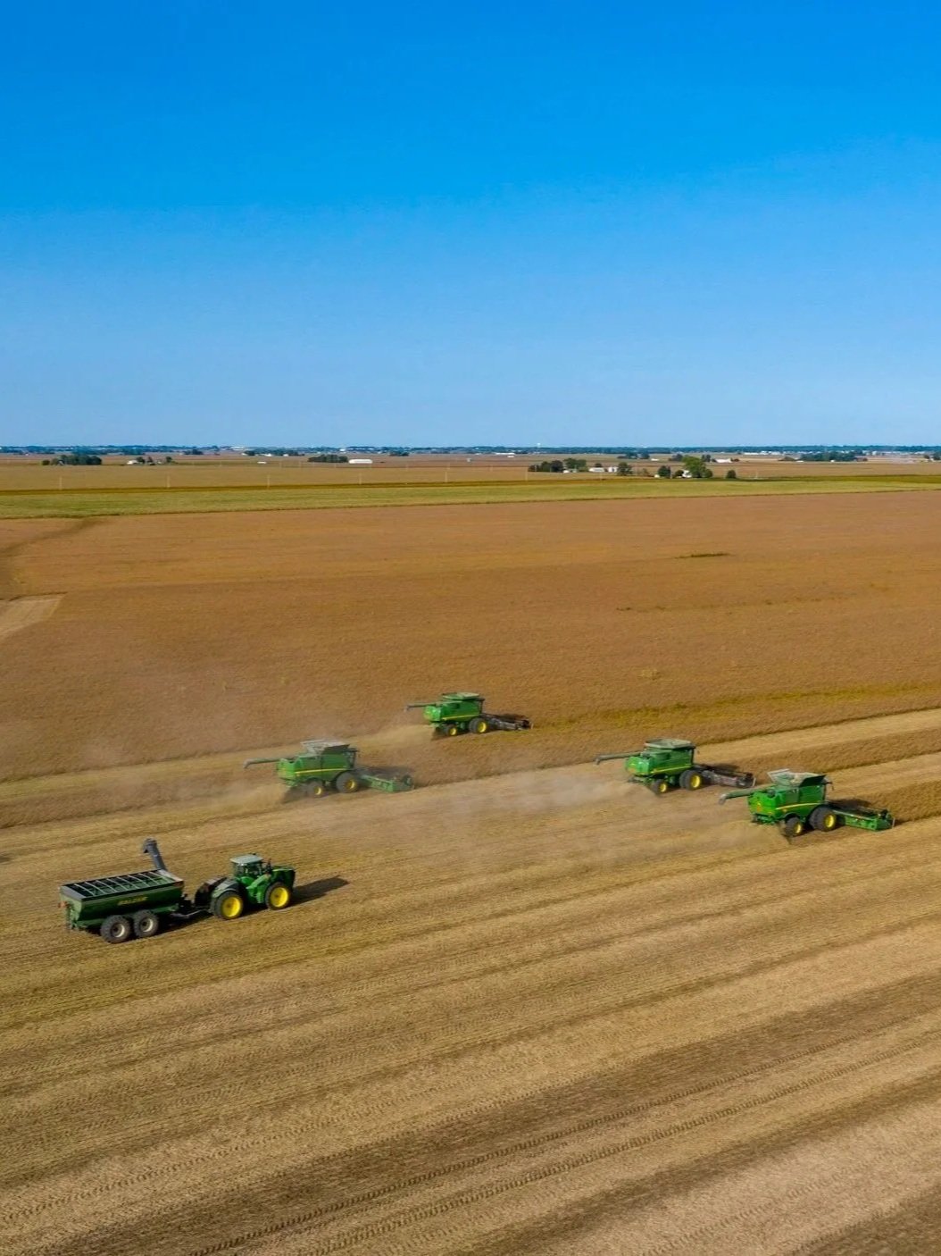 Grain, Soybean Futures Higher in Trading</span>