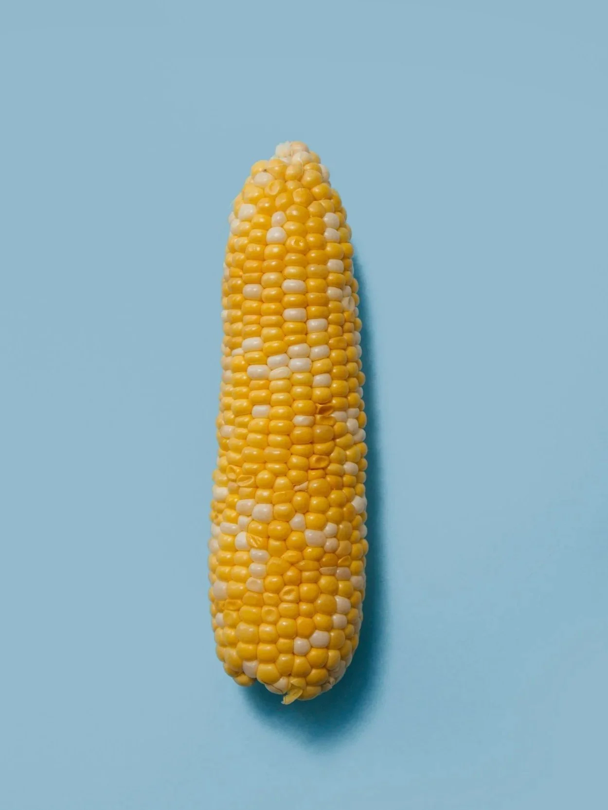 Corn Market Posts Historic July Drop</span>