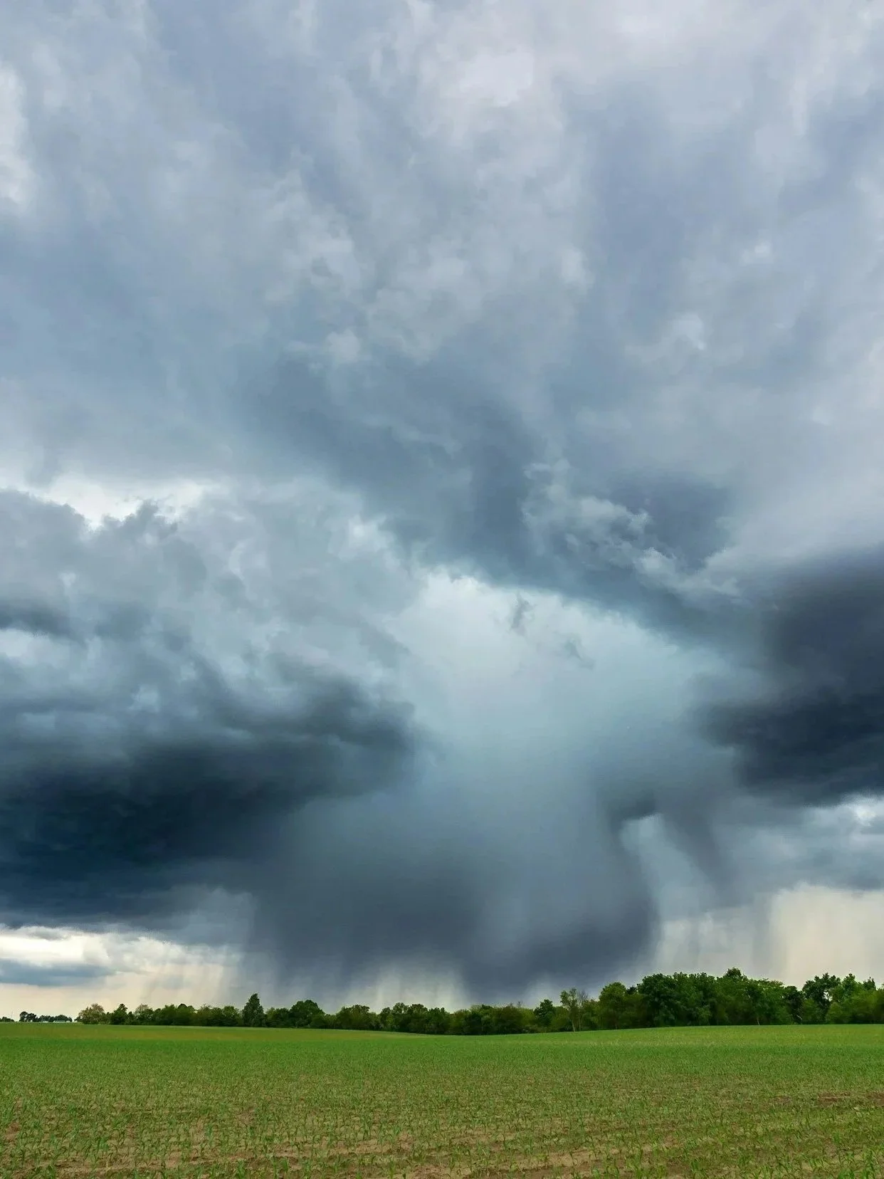 Volatile July Weather Likely Impacts Corn Yields</span>