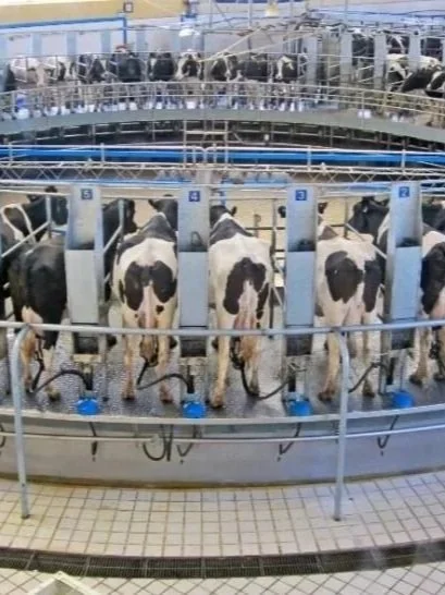 What the Top 20% of Farm Businesses Do Differently</span>