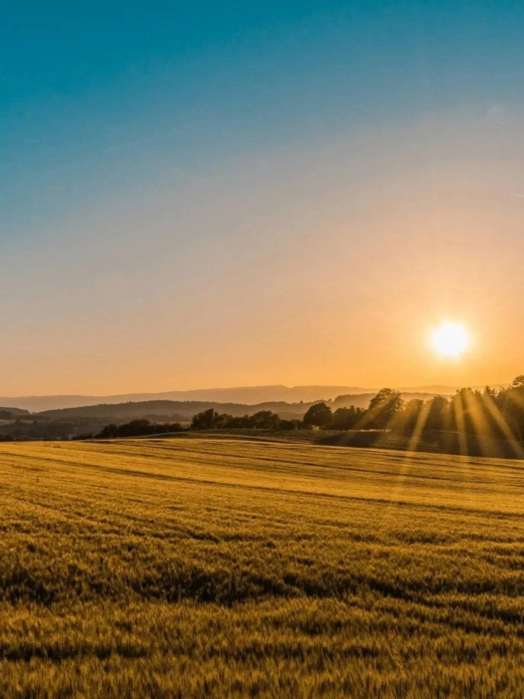 Farmland Values Drop Most Since 2026</span>