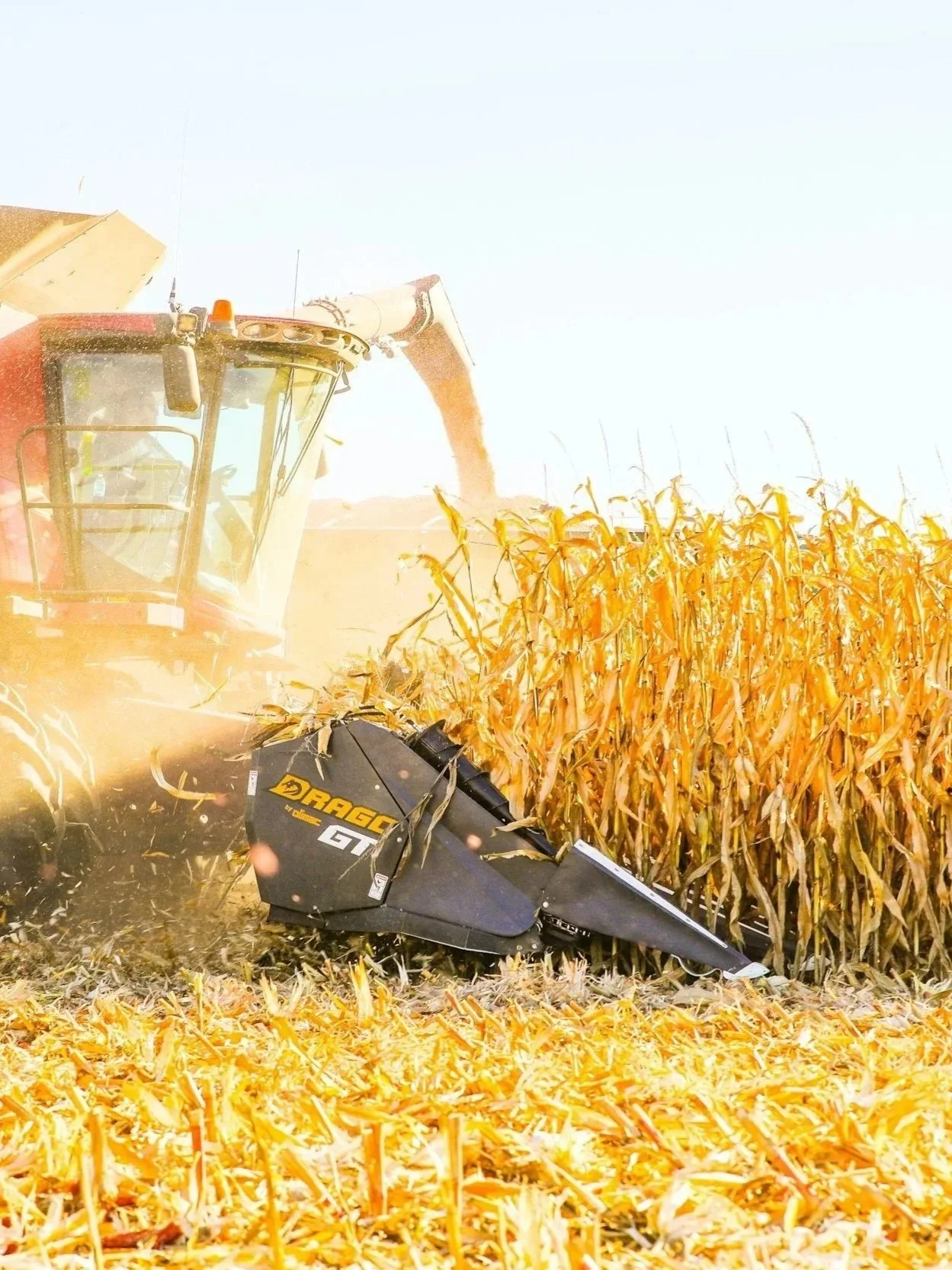 Corn, Soybeans Hit Highs on Fund Buying