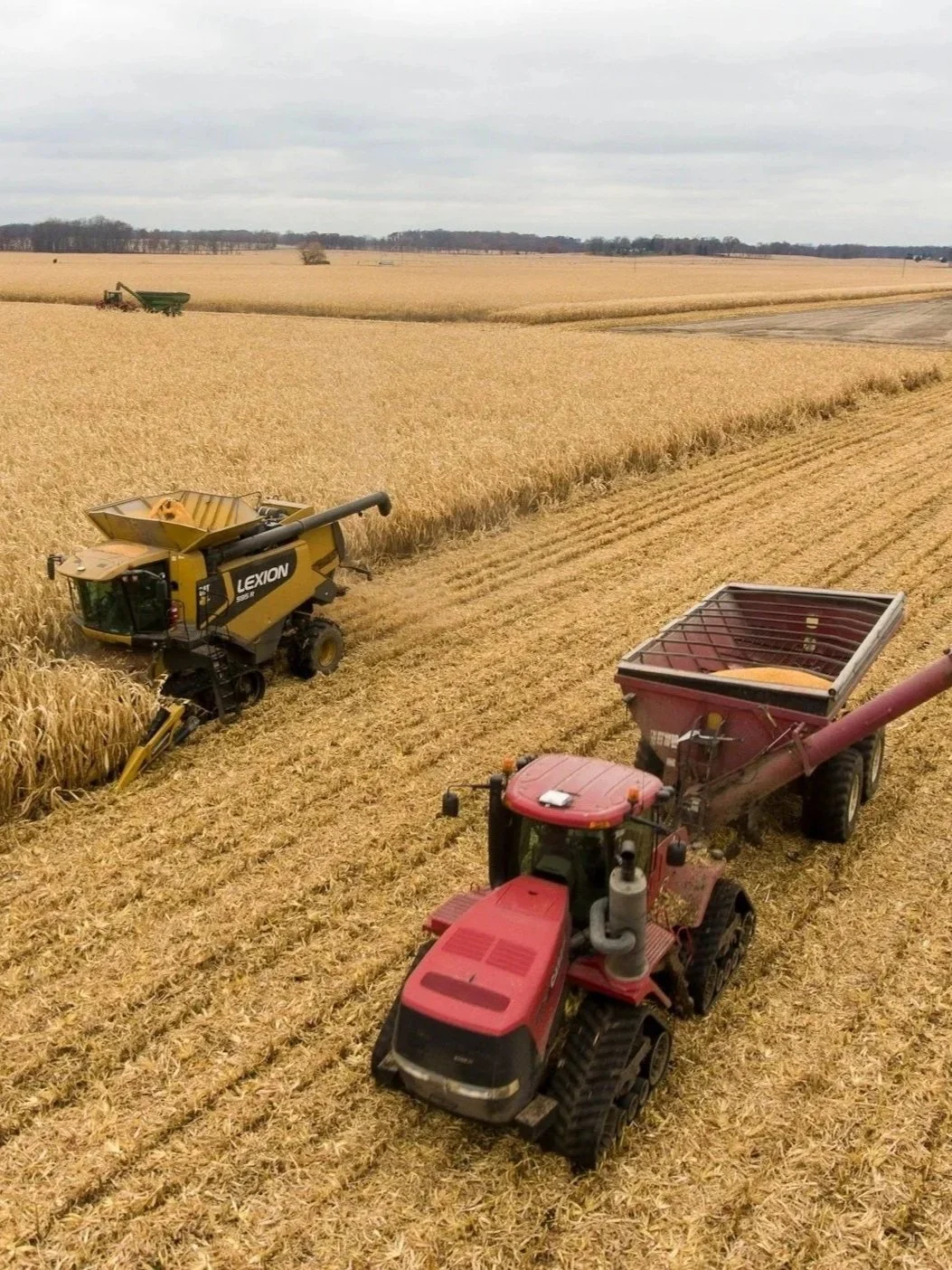 Corn Markets May Be At Make or Break Point