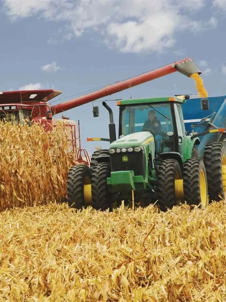Grain Rally Improves Margins, Inputs Still High