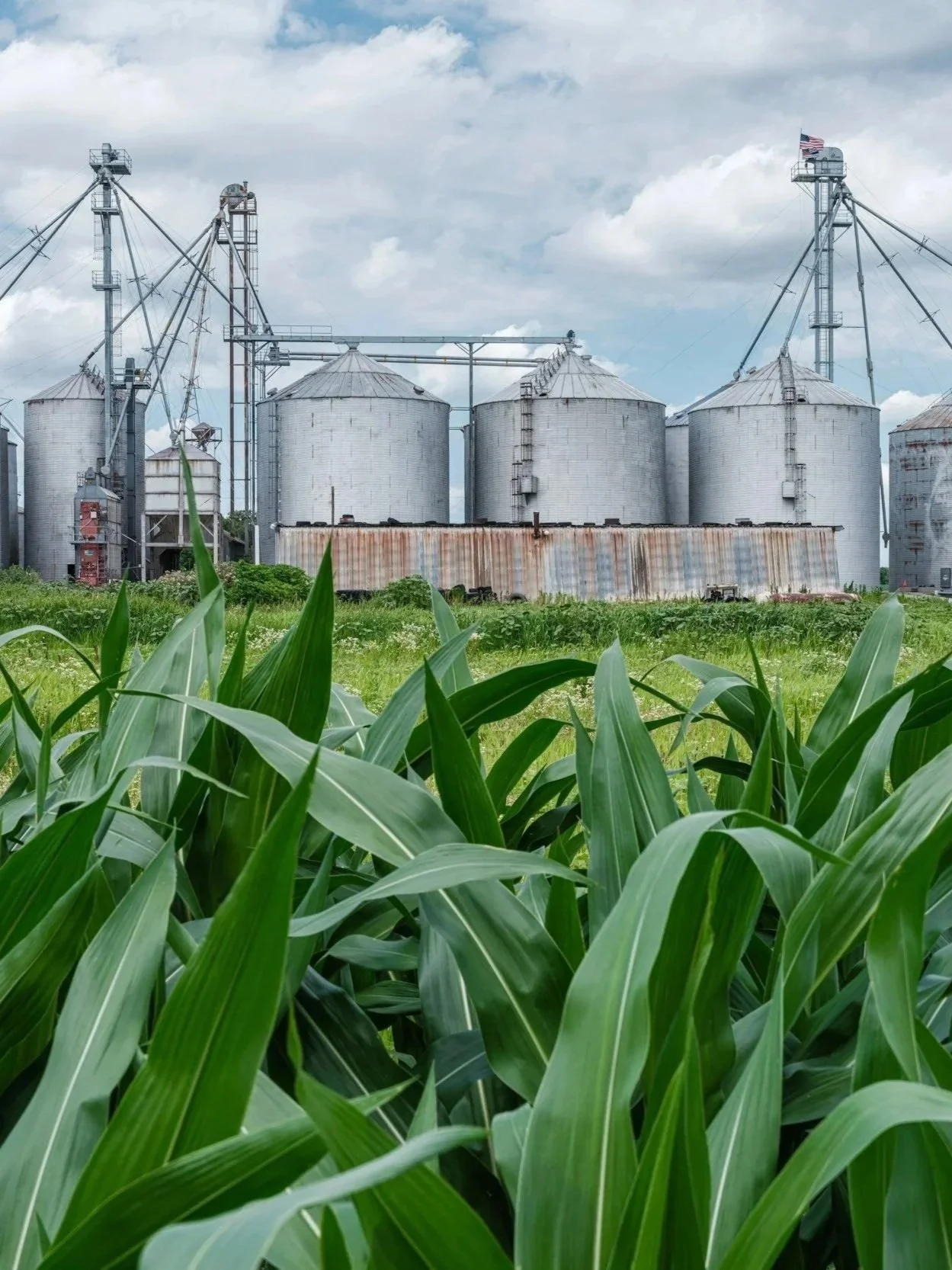 USDA Payment Depends on Farm Structure