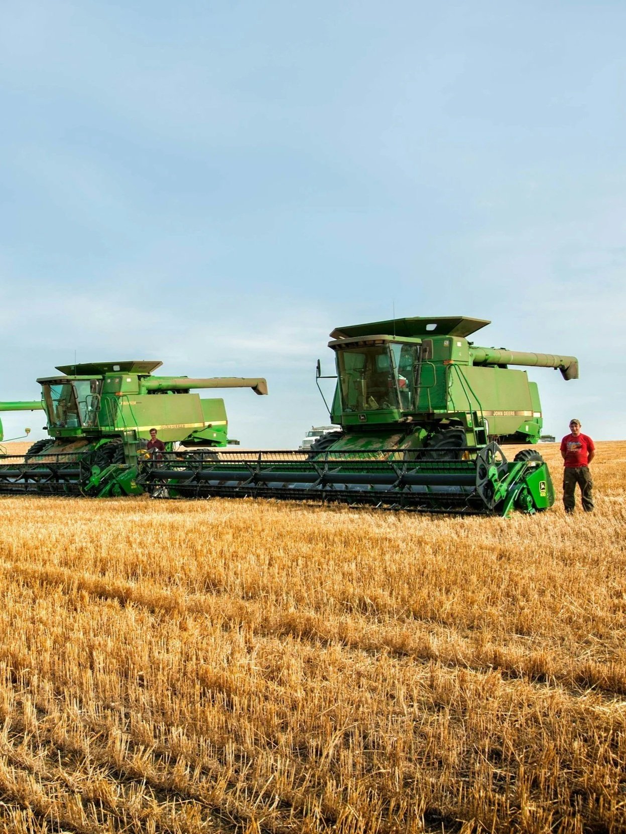 USDA Lowers Corn Yield, Raises Soybeans