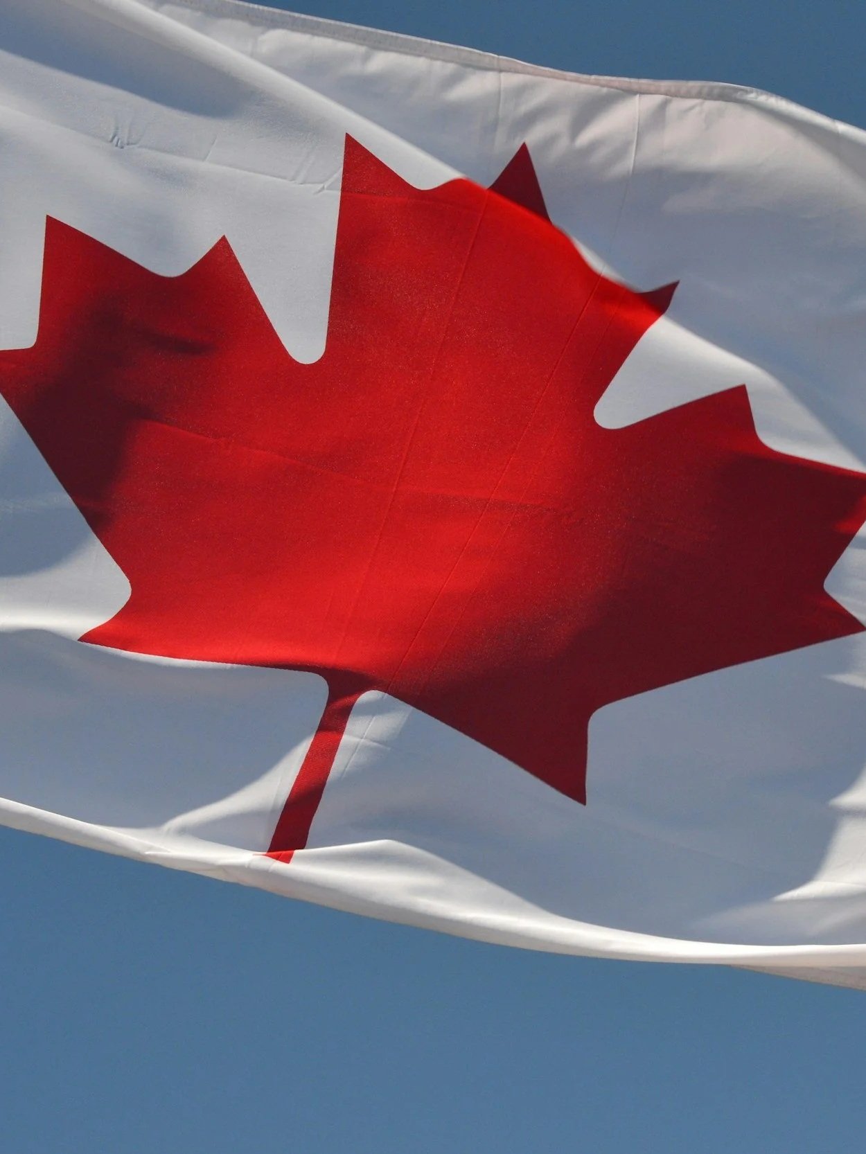 What Trump’s Canadian Bans Mean for Milk Prices